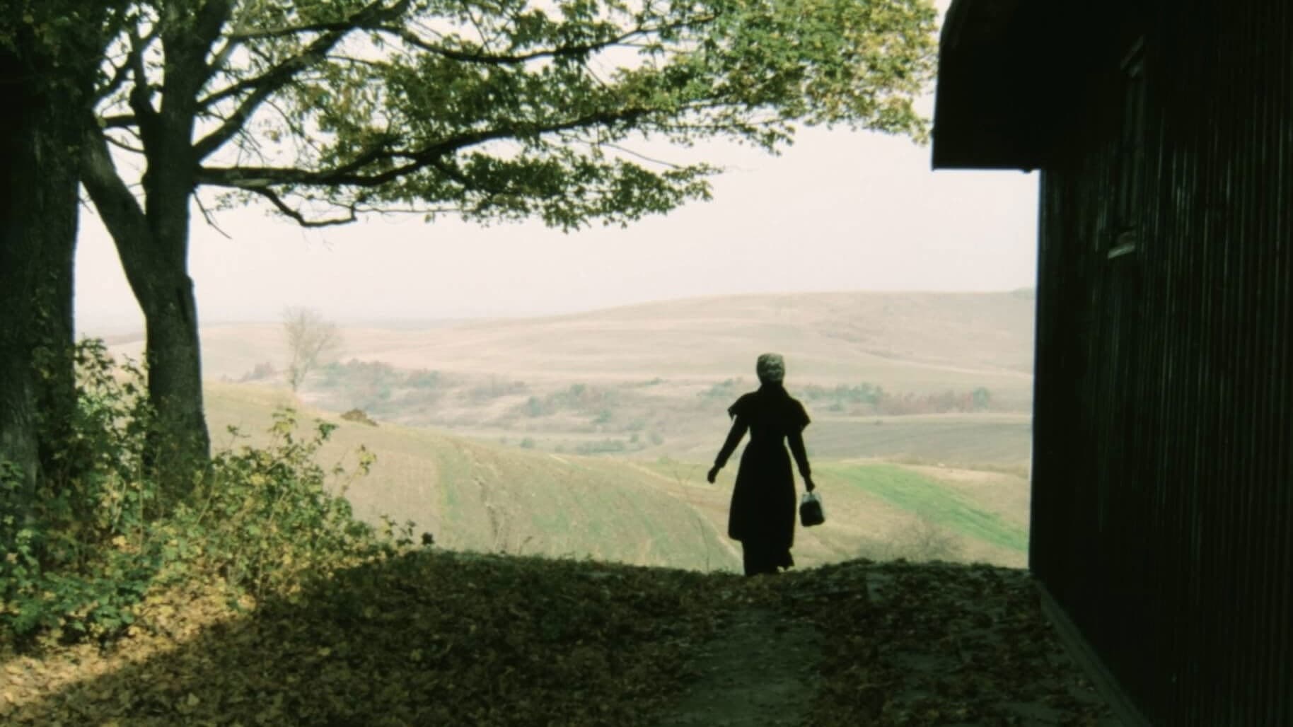 Подарунок на іменини