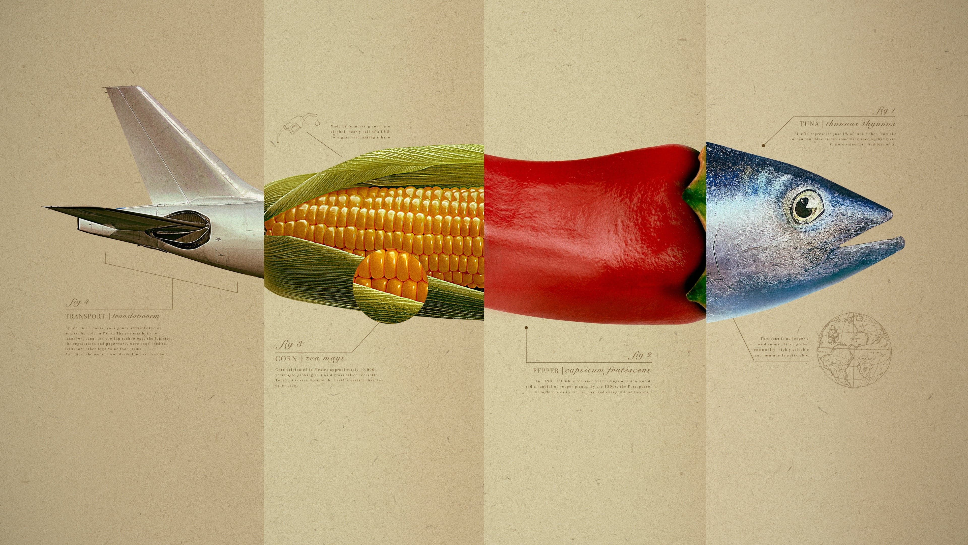 '옴니보어: 인간의 식탁' - Omnivore