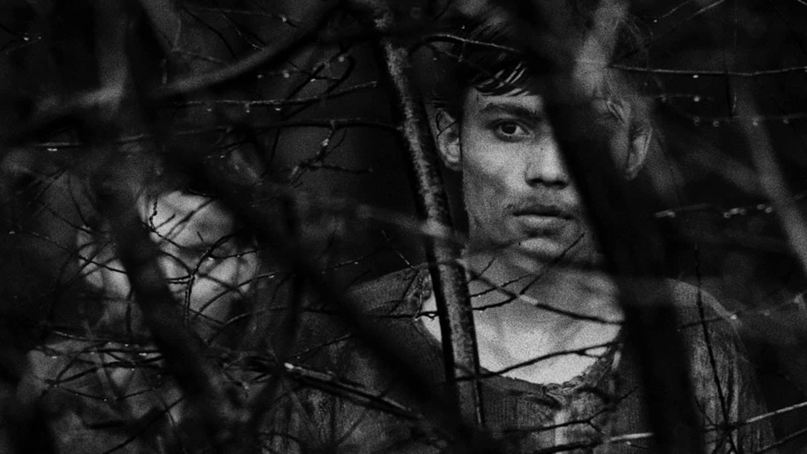 밤의 다이아몬드