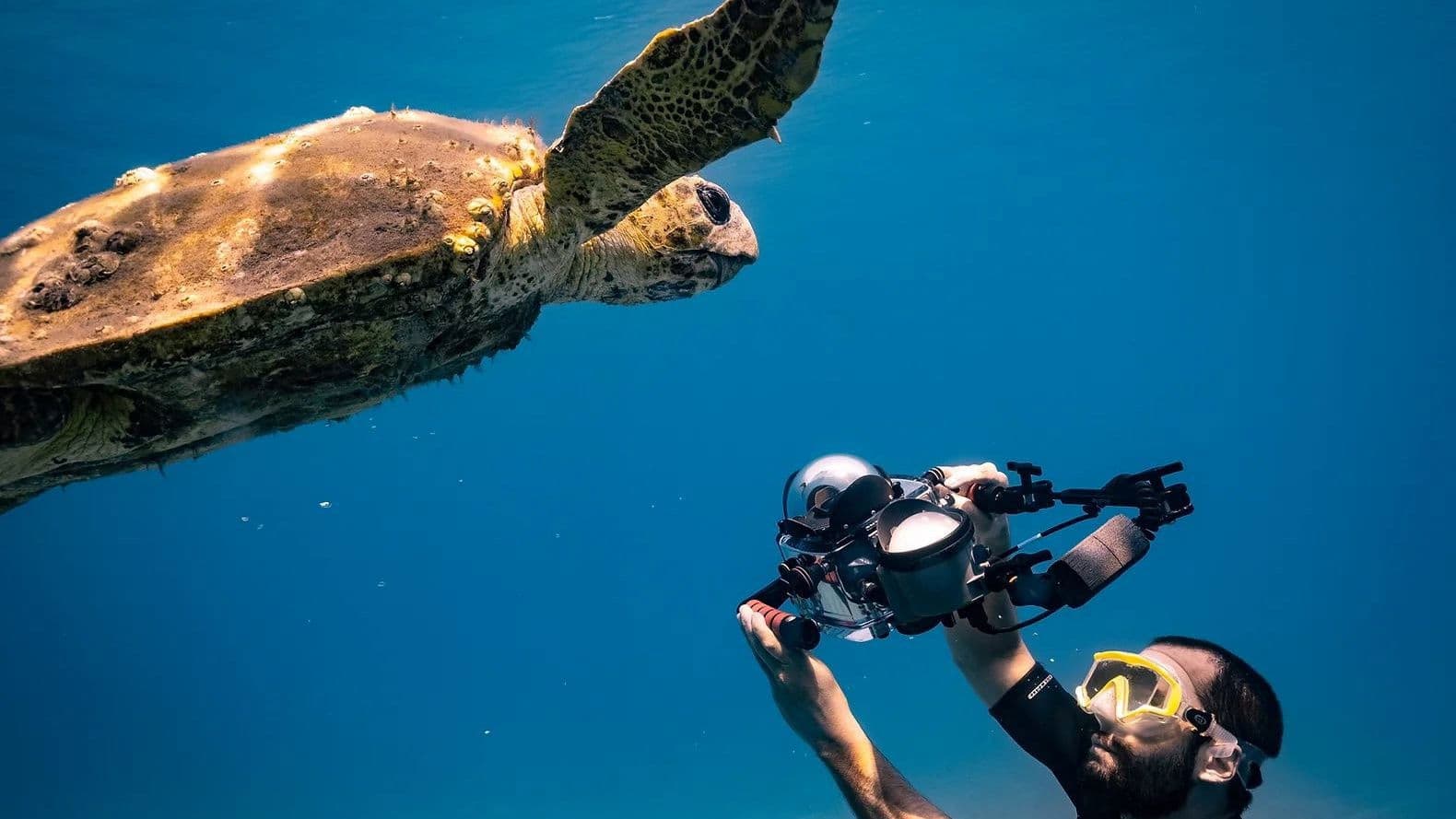 지중해 오디세이