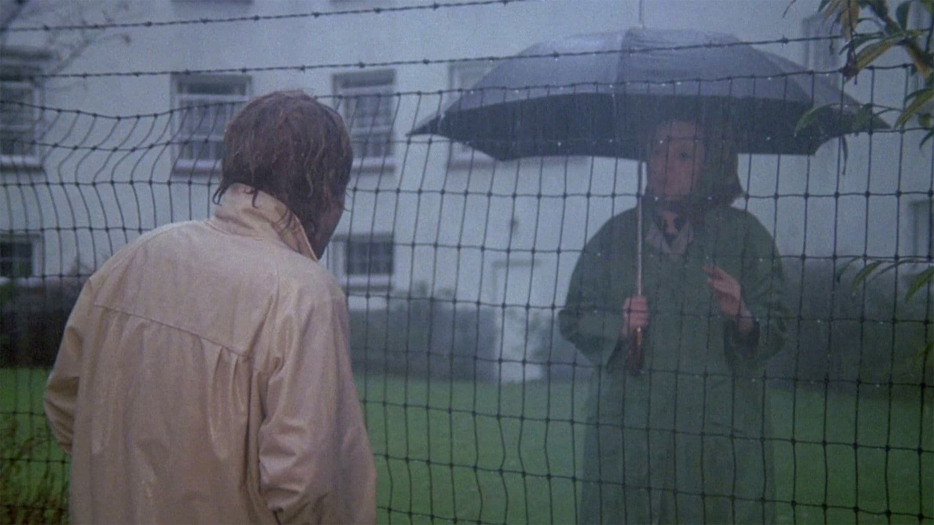 공원에서의 차가운 나날들