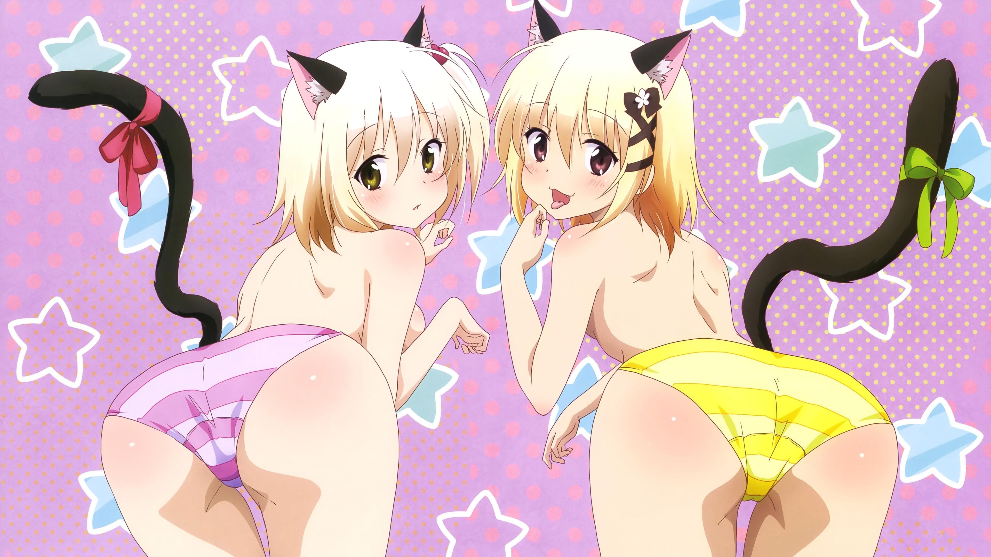 앨리스 OR 앨리스