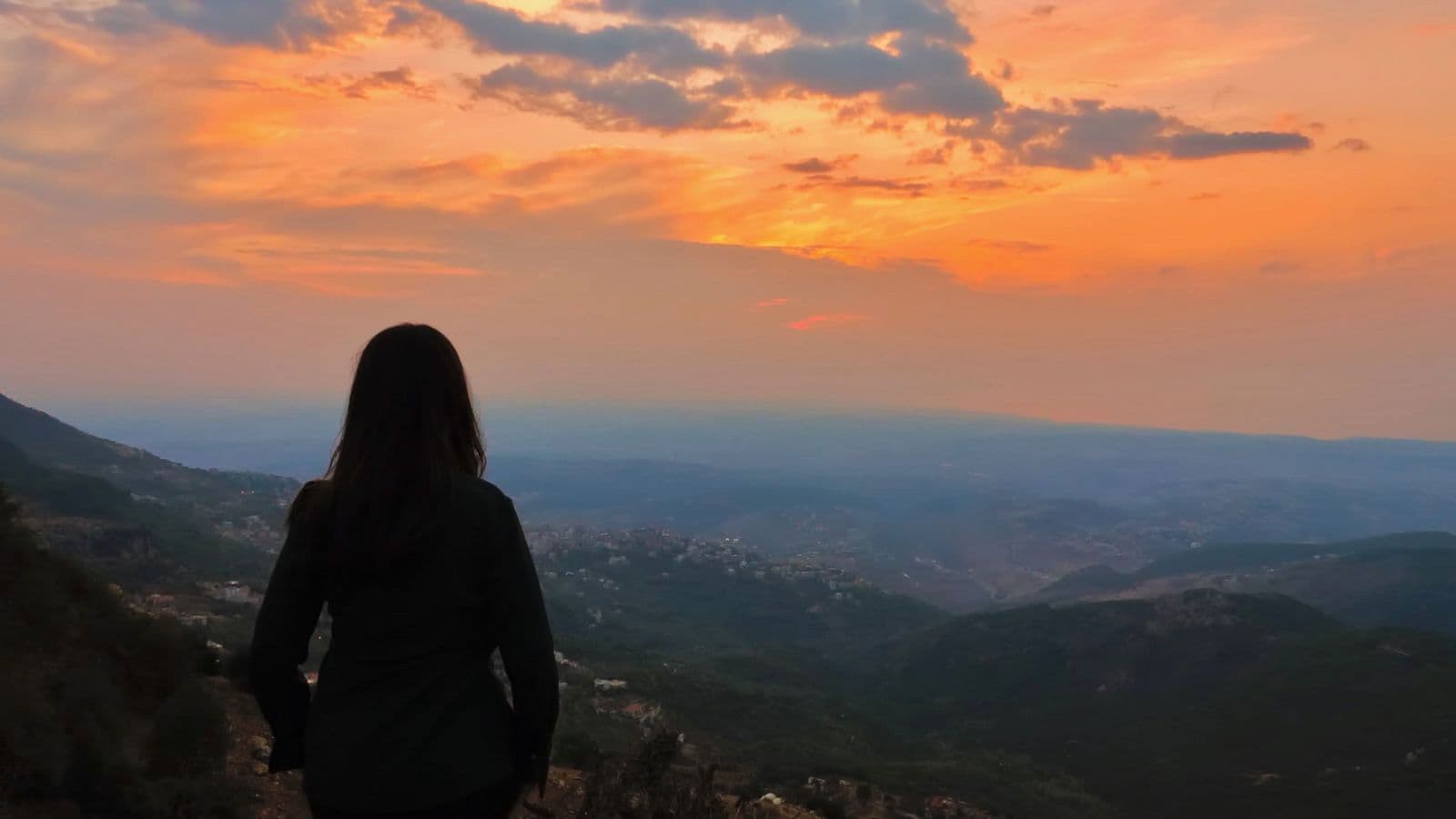 보라색 집에 관한 이야기