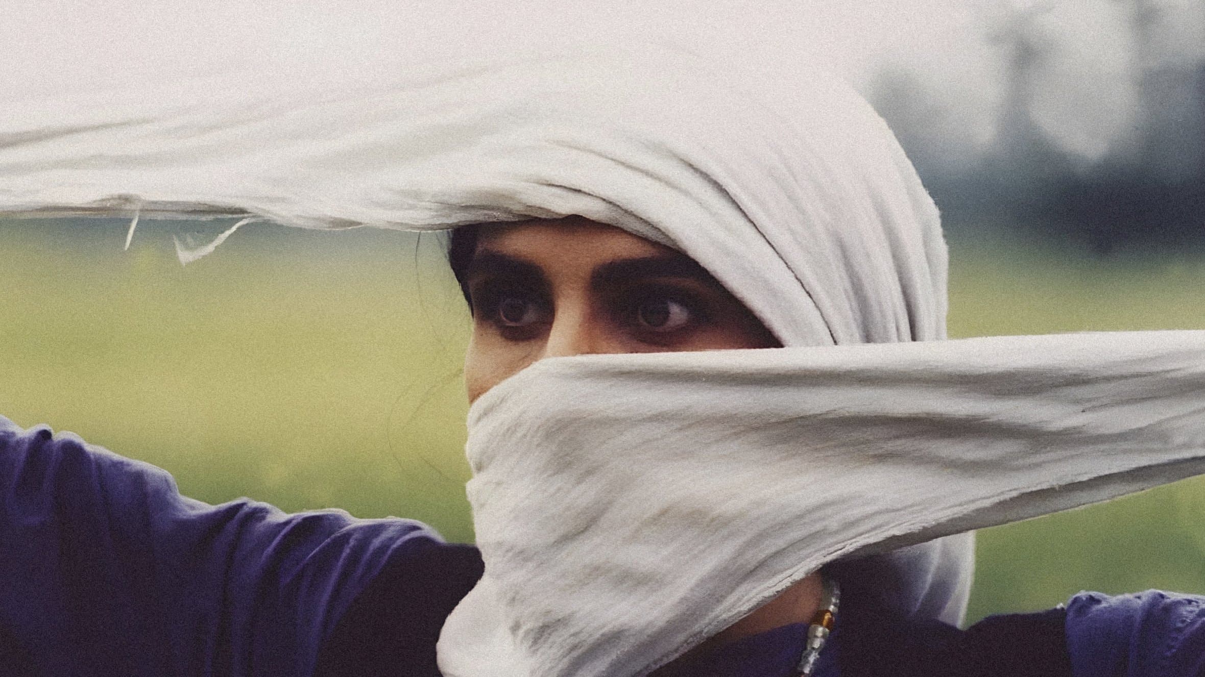 باشو غریبهٔ کوچک