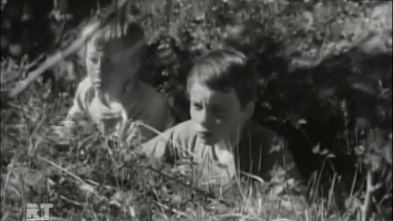 Белый флюгер