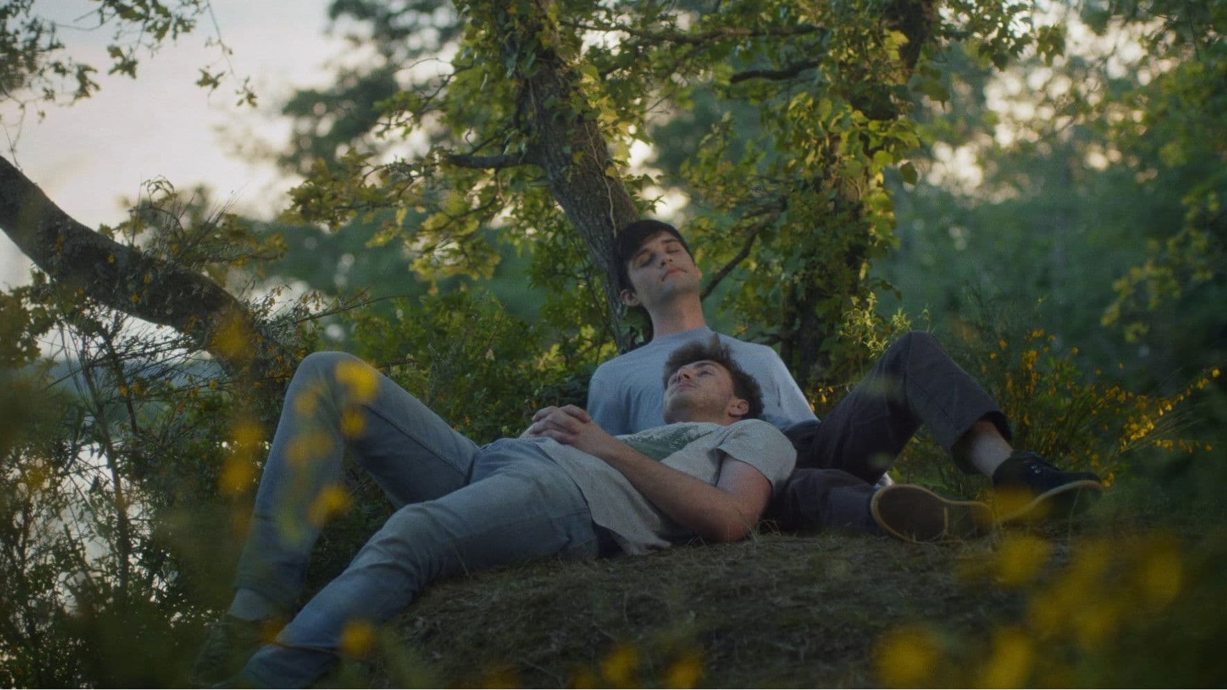 사치스러운 질병