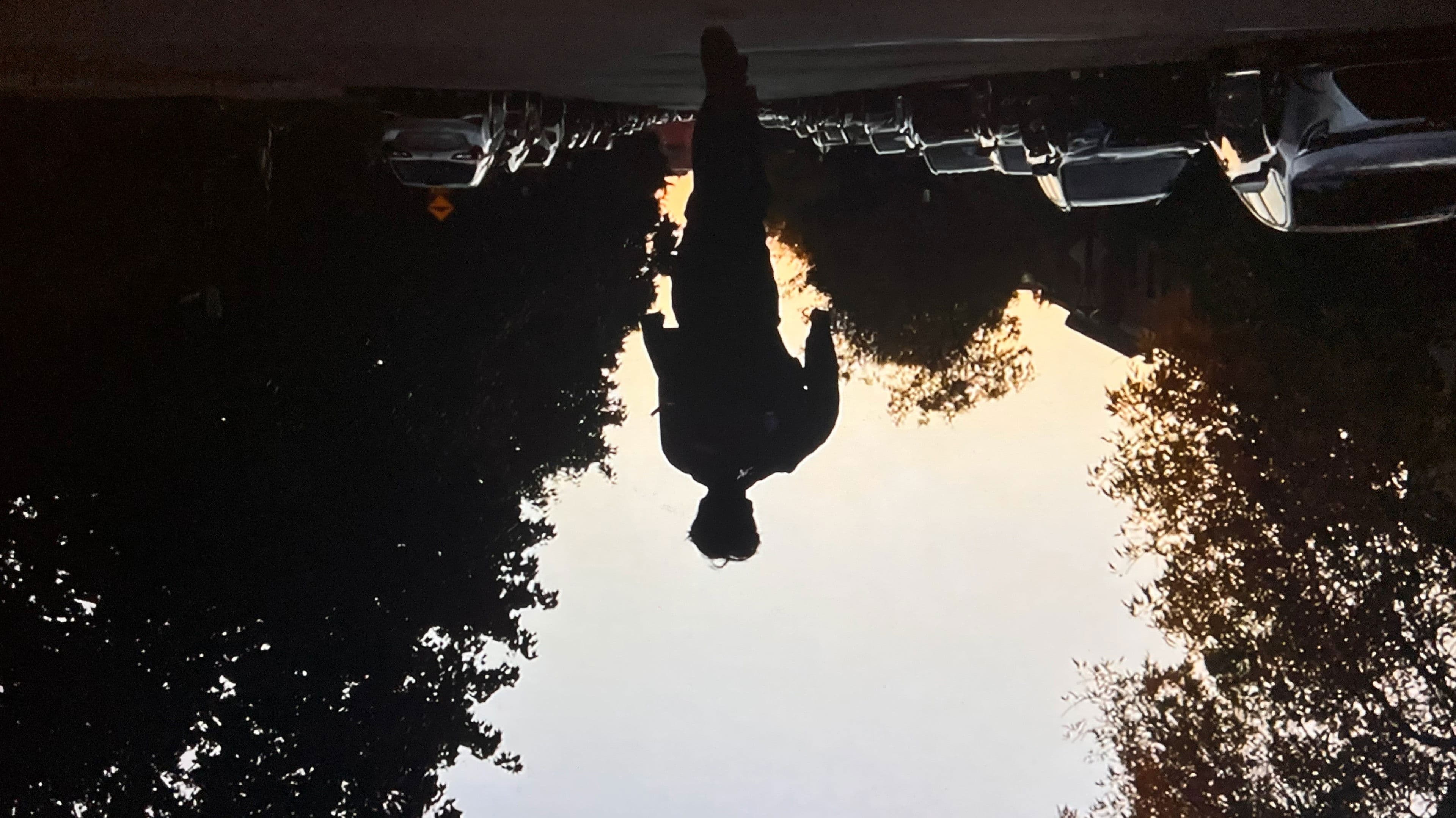 La vidéo des 17 de Florent