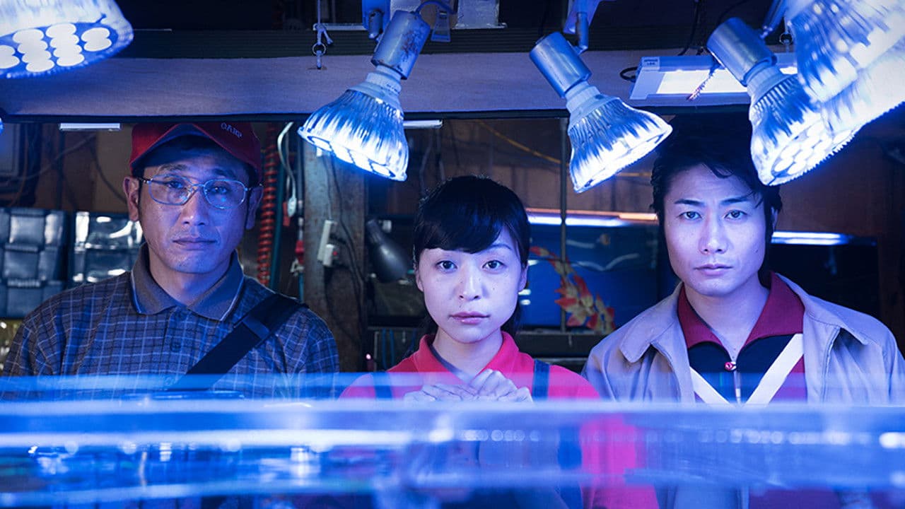 신과 인간 사이