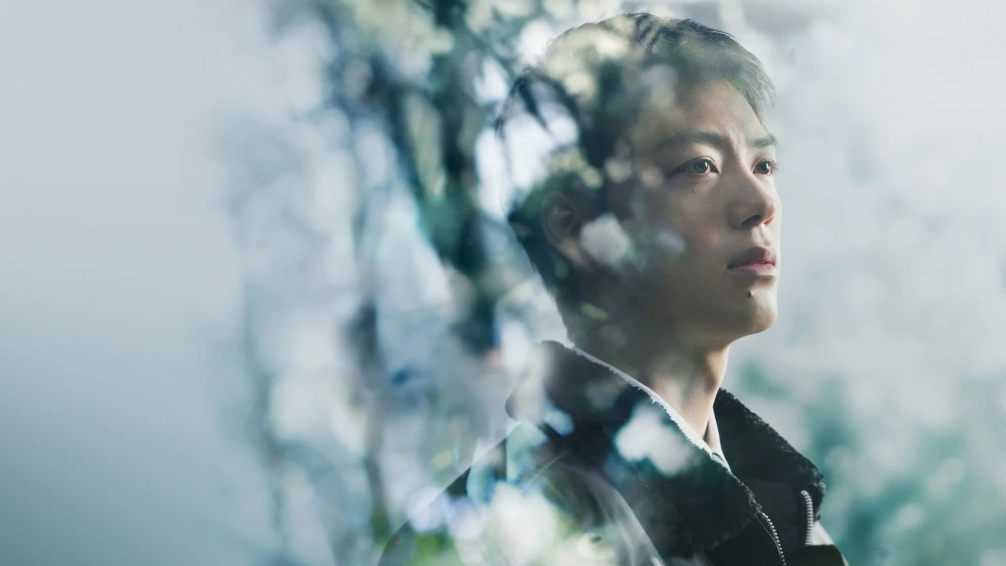 재회: 사일런트 트루스