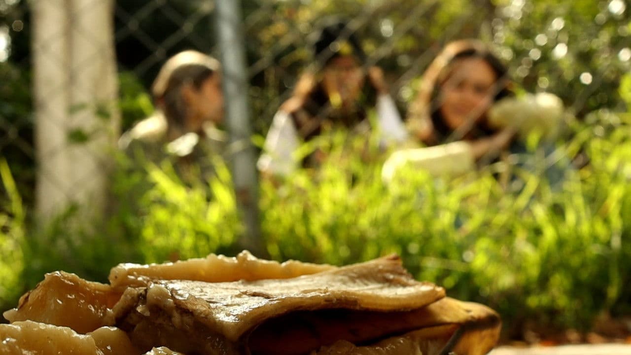 Siempre Abril, Siempre