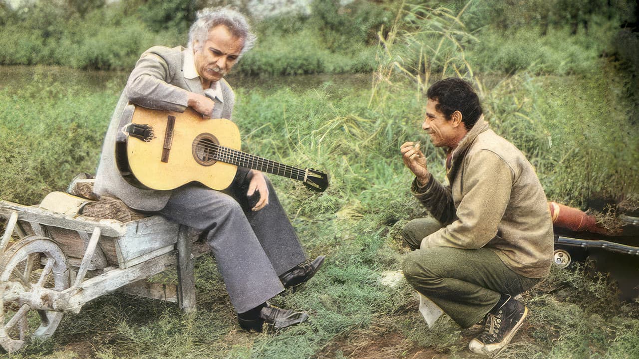 Pourquoi t'as les cheveux blancs...