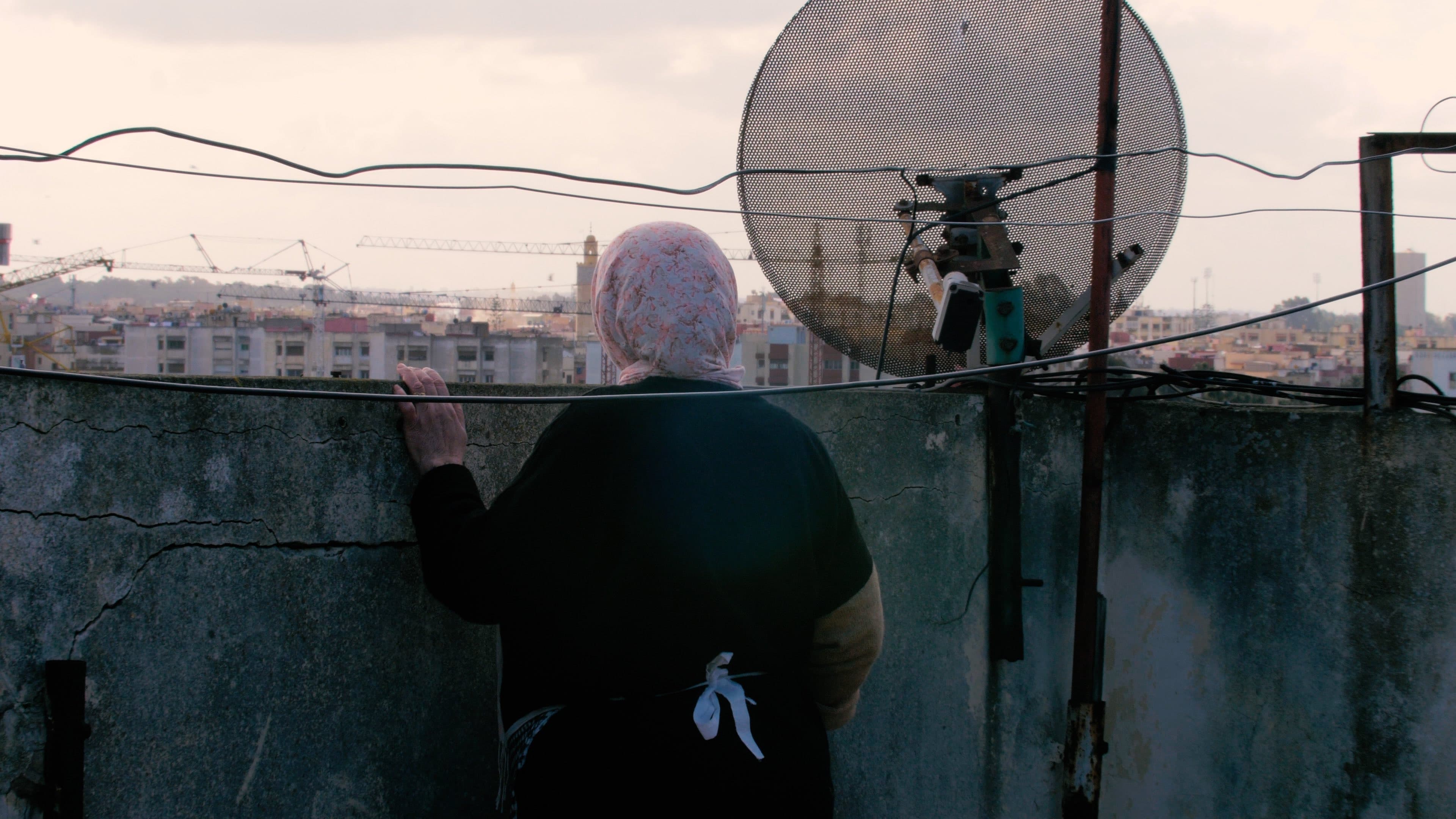 그 모든 거짓말의 어머니