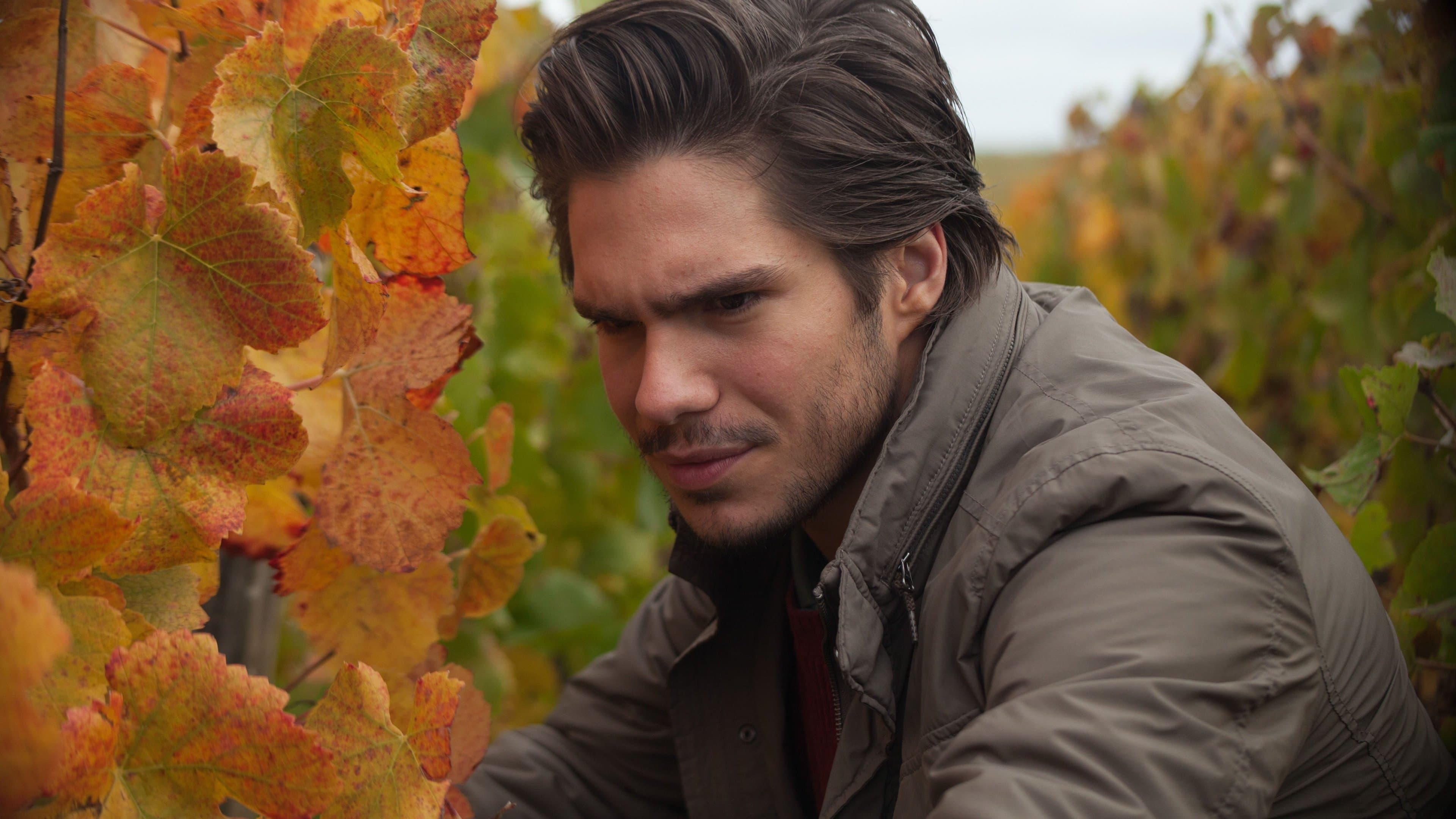 부르고뉴, 와인에서 찾은 인생