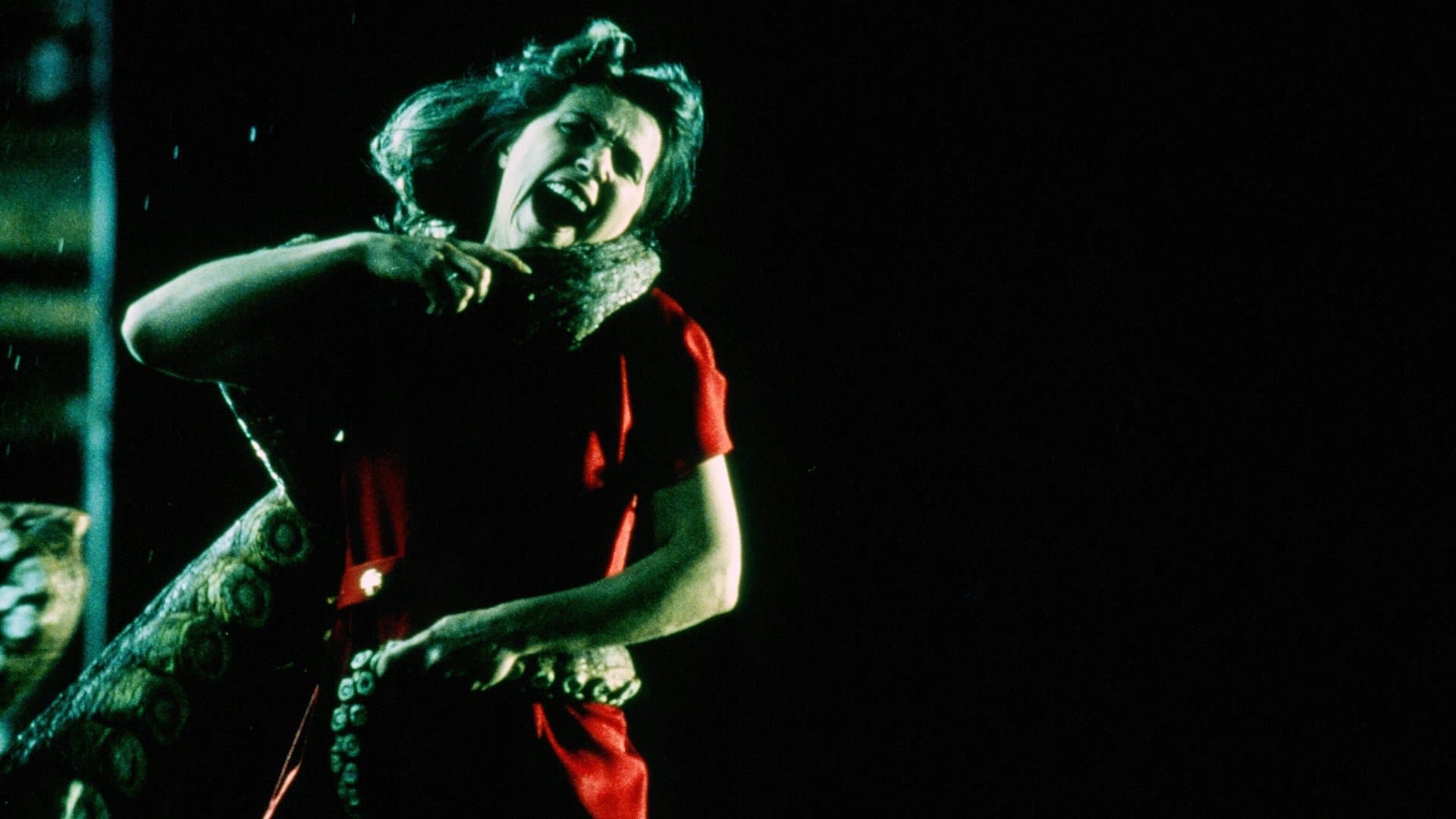 Octopus 2: River of Fear