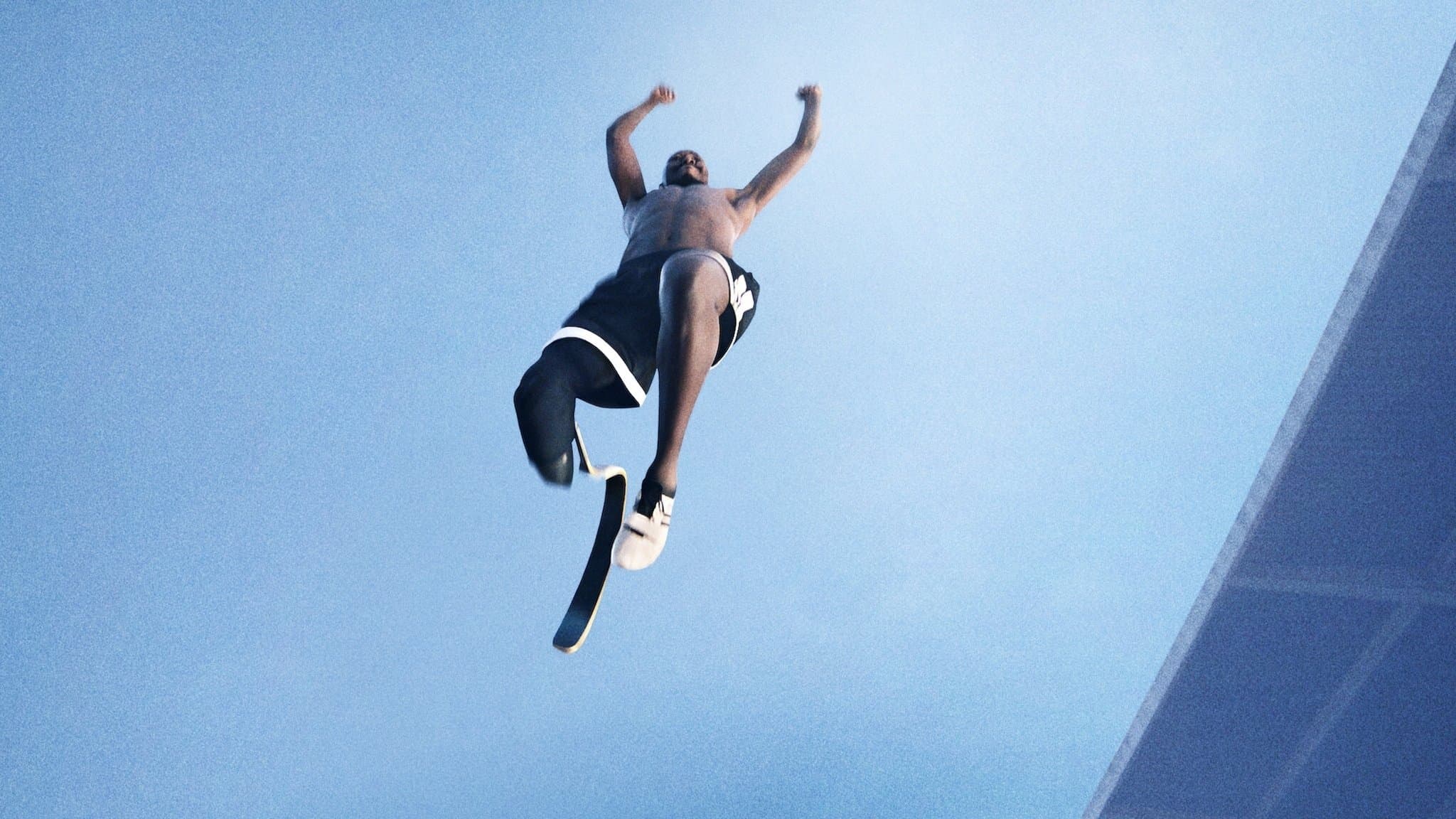 불사조, 비상하다