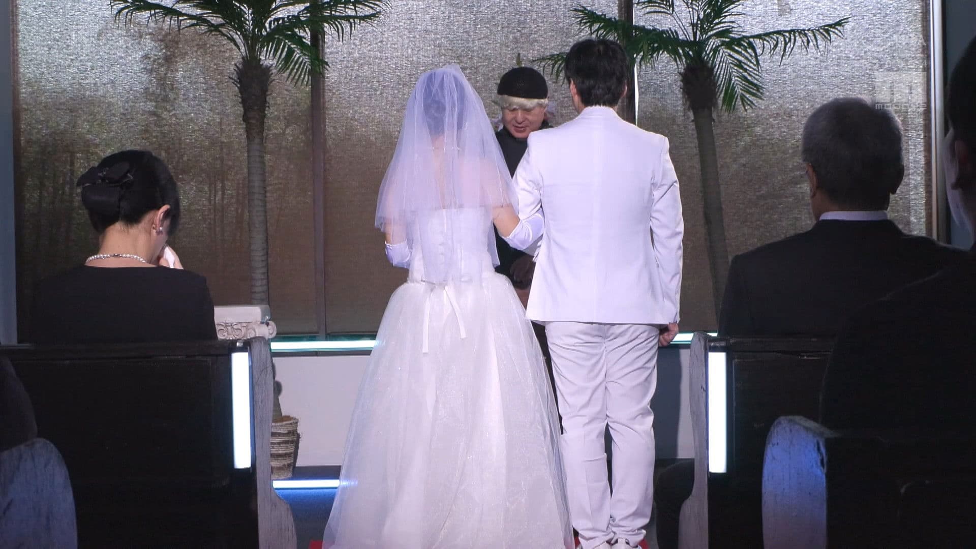 섹스하지 않으면 죽는 병 ~발병하면 섹스는 의무~ 실사판 시리즈 누계 판매수 22만부 돌파! 초작 3화분을 일거 수록!