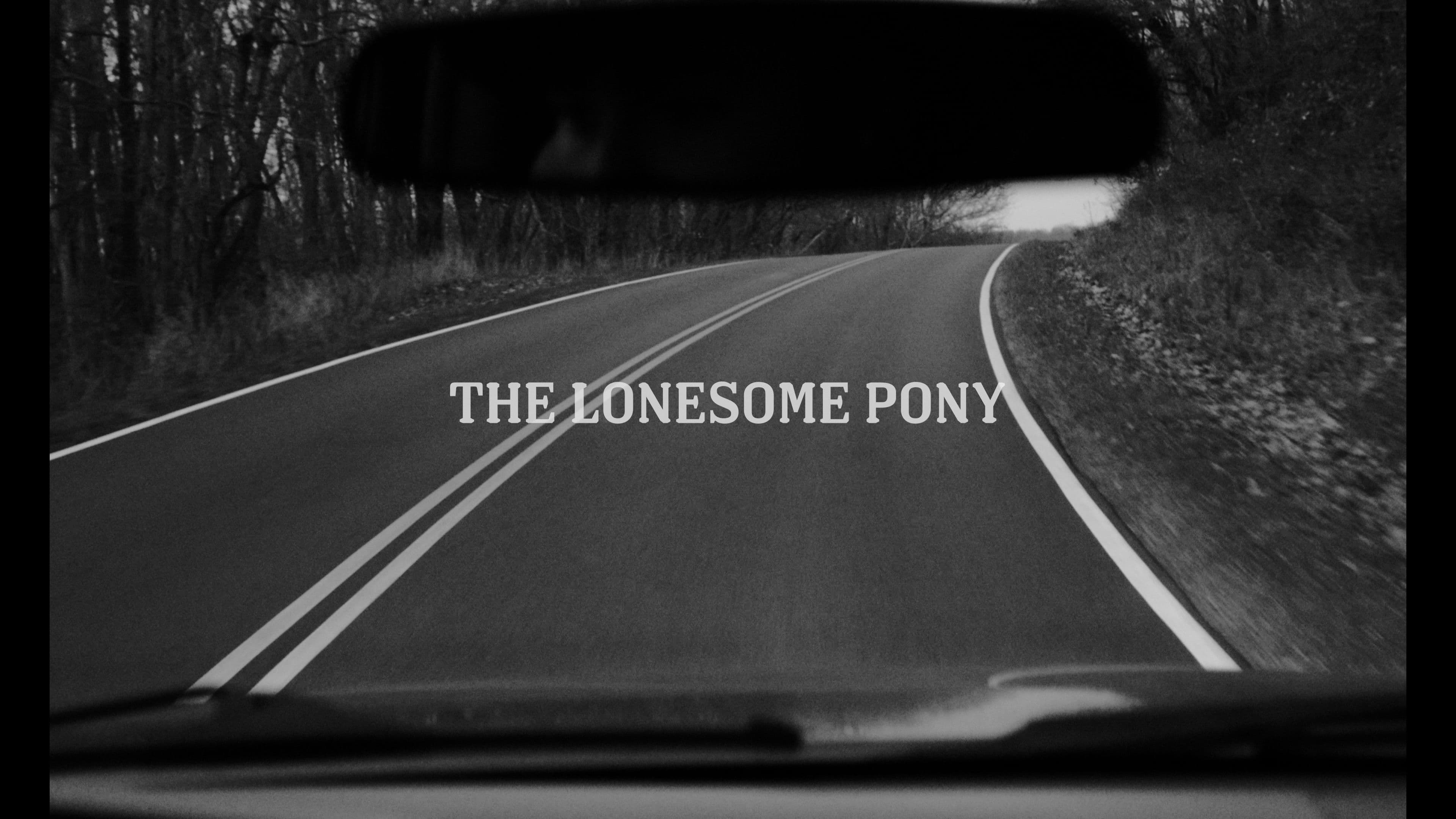 The Lonesome Pony