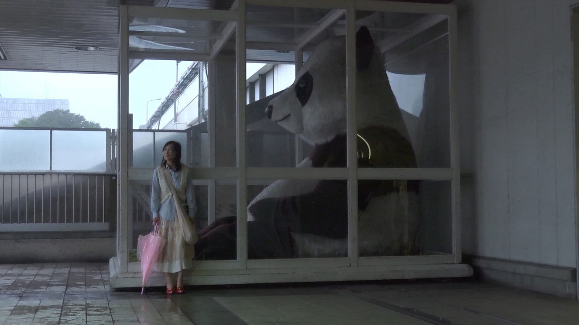 도쿄 무인 여자 이야기