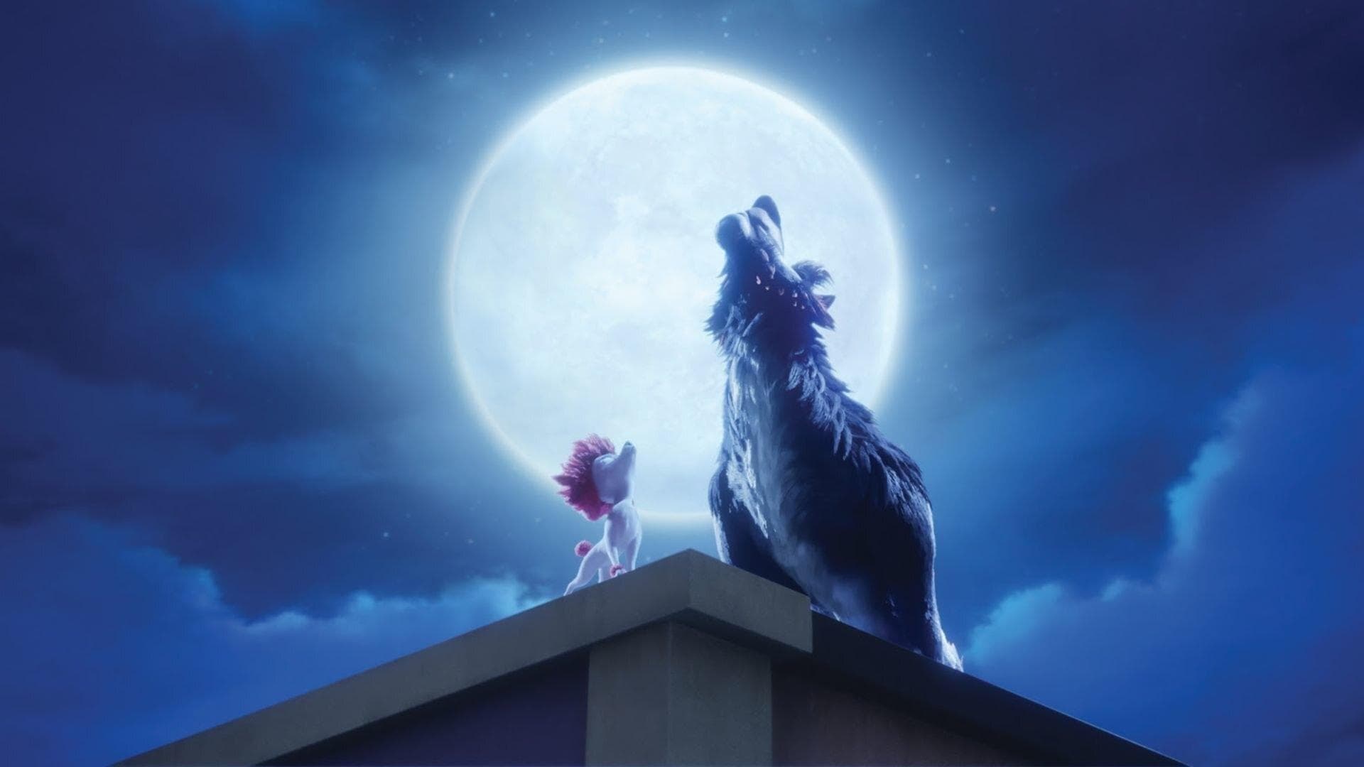 100% 울프: 푸들이 될 순 없어