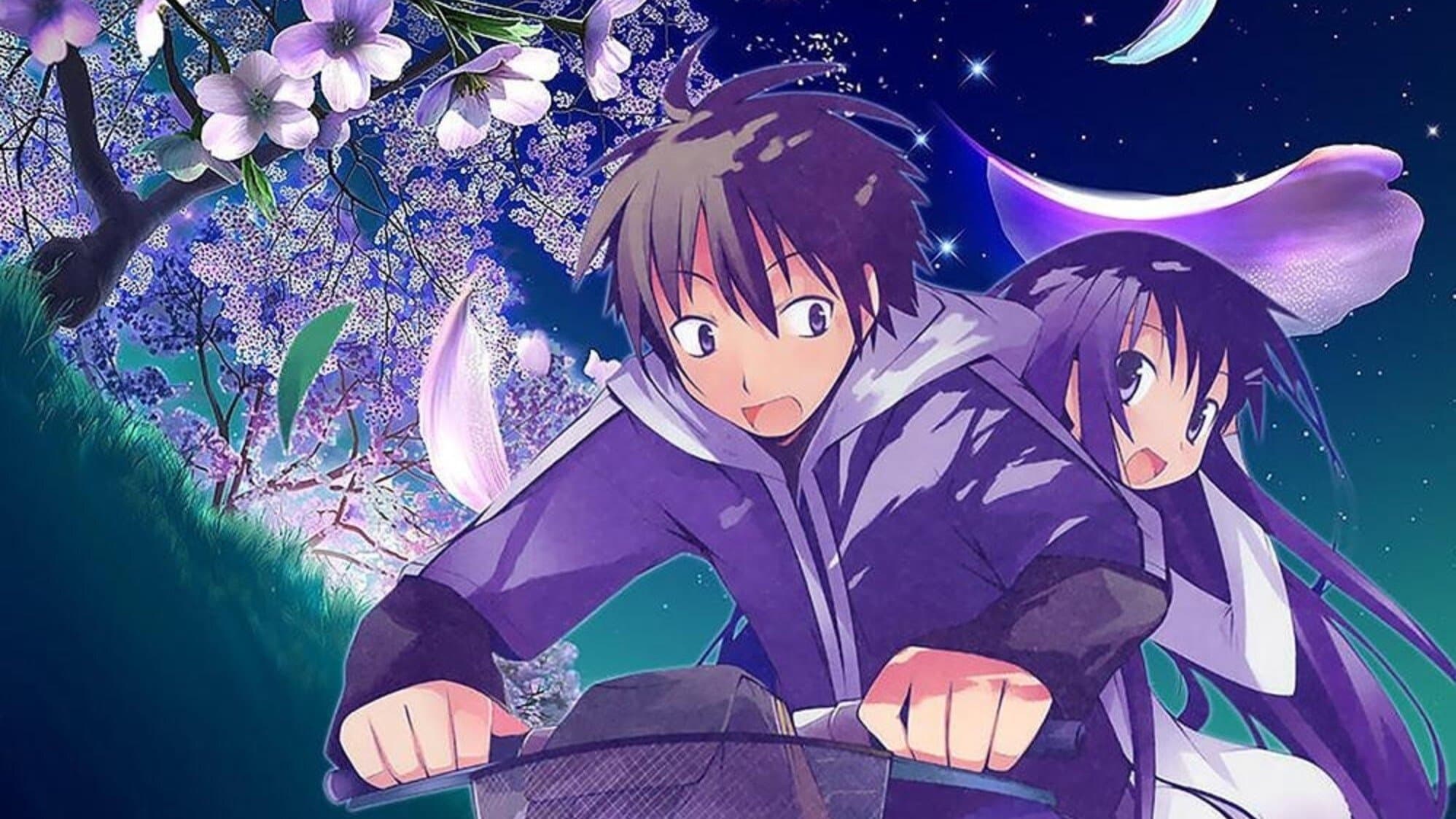 반쪽 달이 떠오르는 하늘