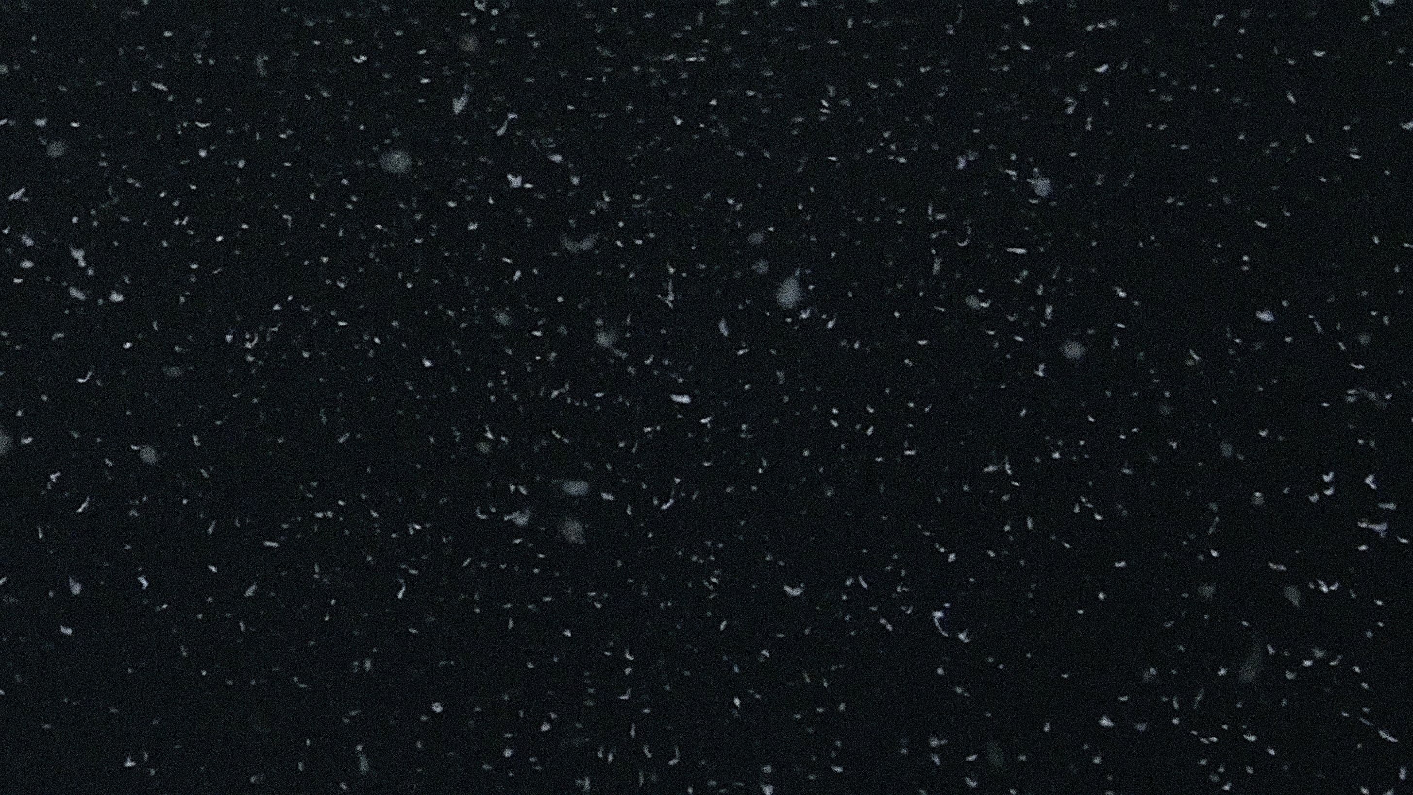 죽도록 사랑하리