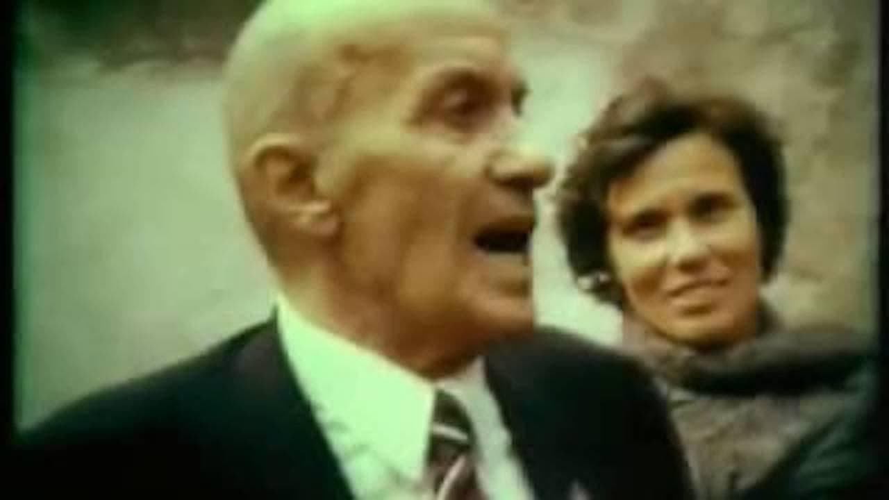 ალპური ვარსკვლავი