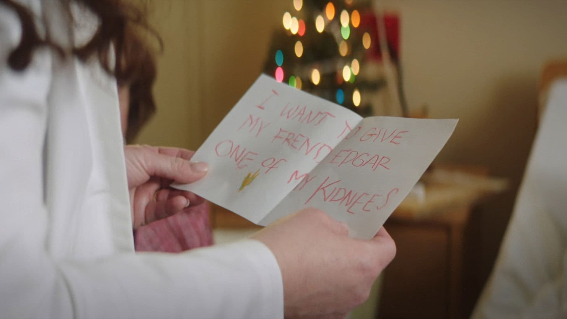 루시 쉬머즈 앤 더 프린스 오프 피스