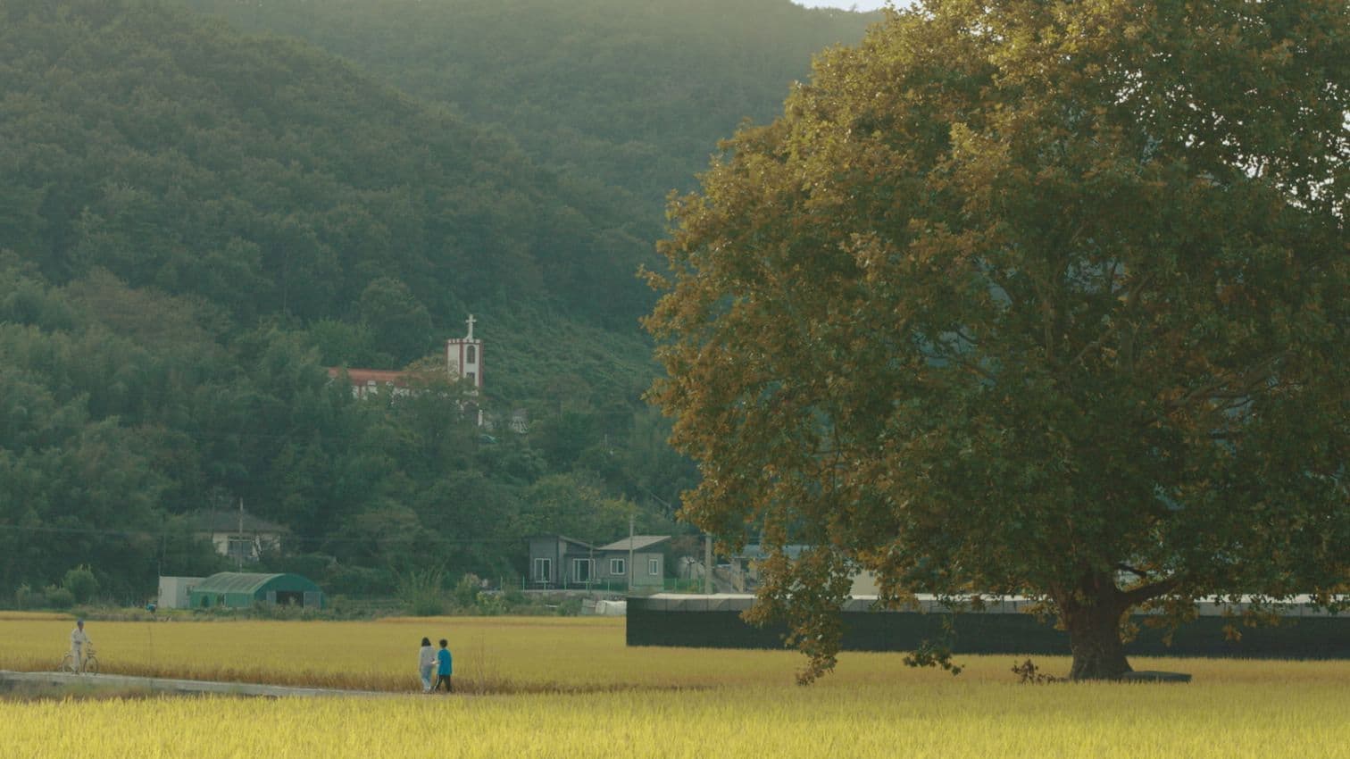 가을바람 불르면