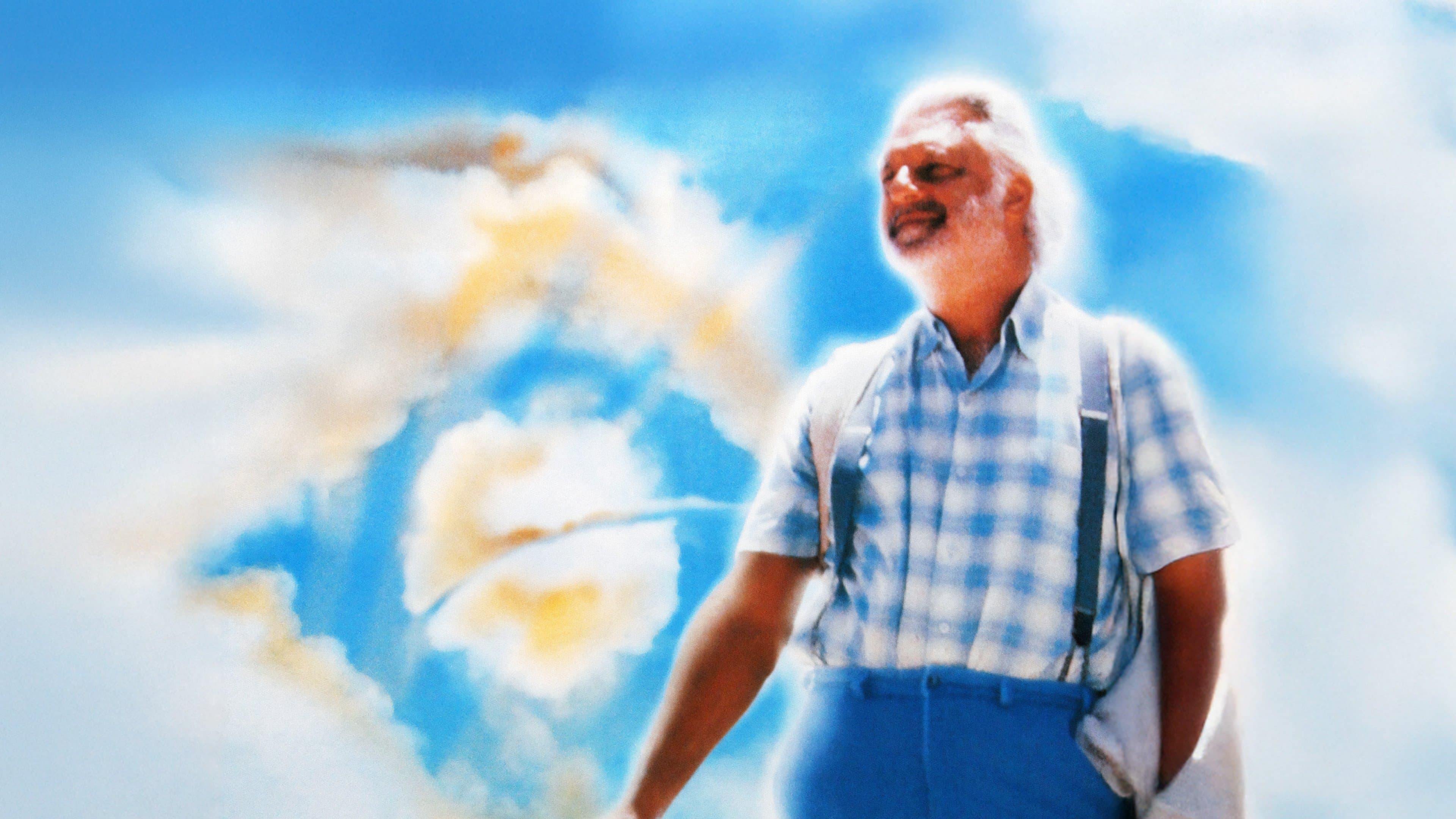 신은 브라질인이다