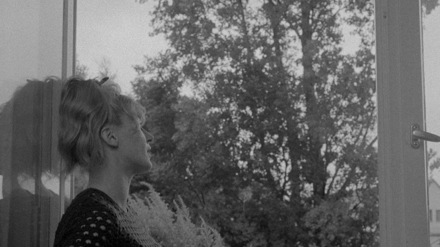 더 브라이드그룸, 더 액트리스 앤 더 핌프