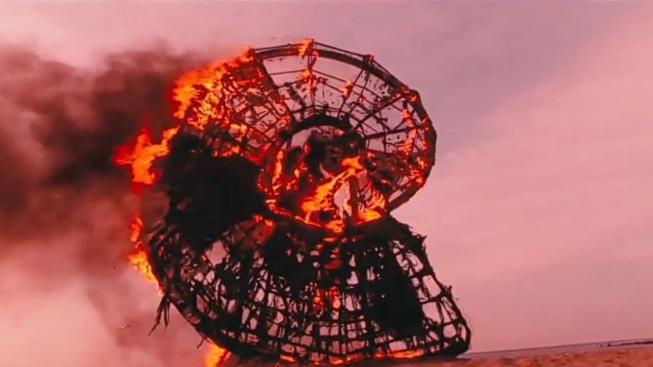 암모나이트의 속삭임을 들었다