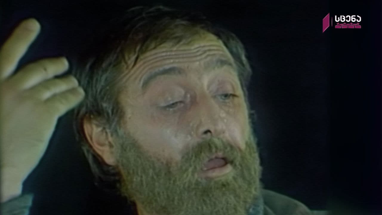 მარტოობის დღესასწაული