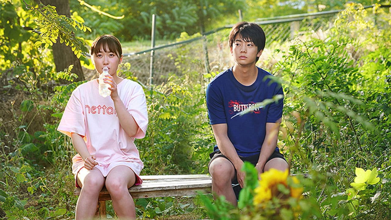 오르는 코테라씨