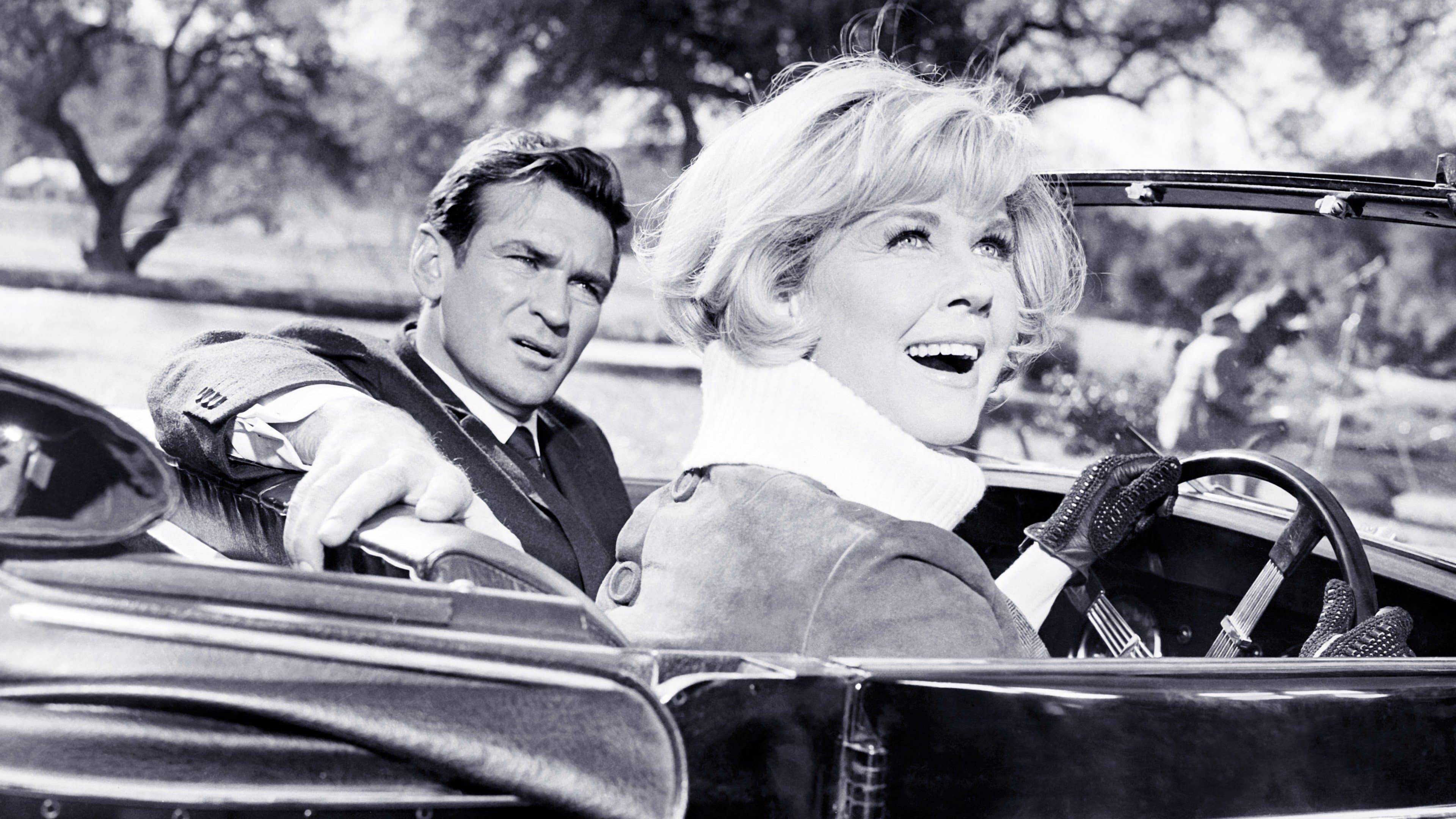 방해하지 마세요