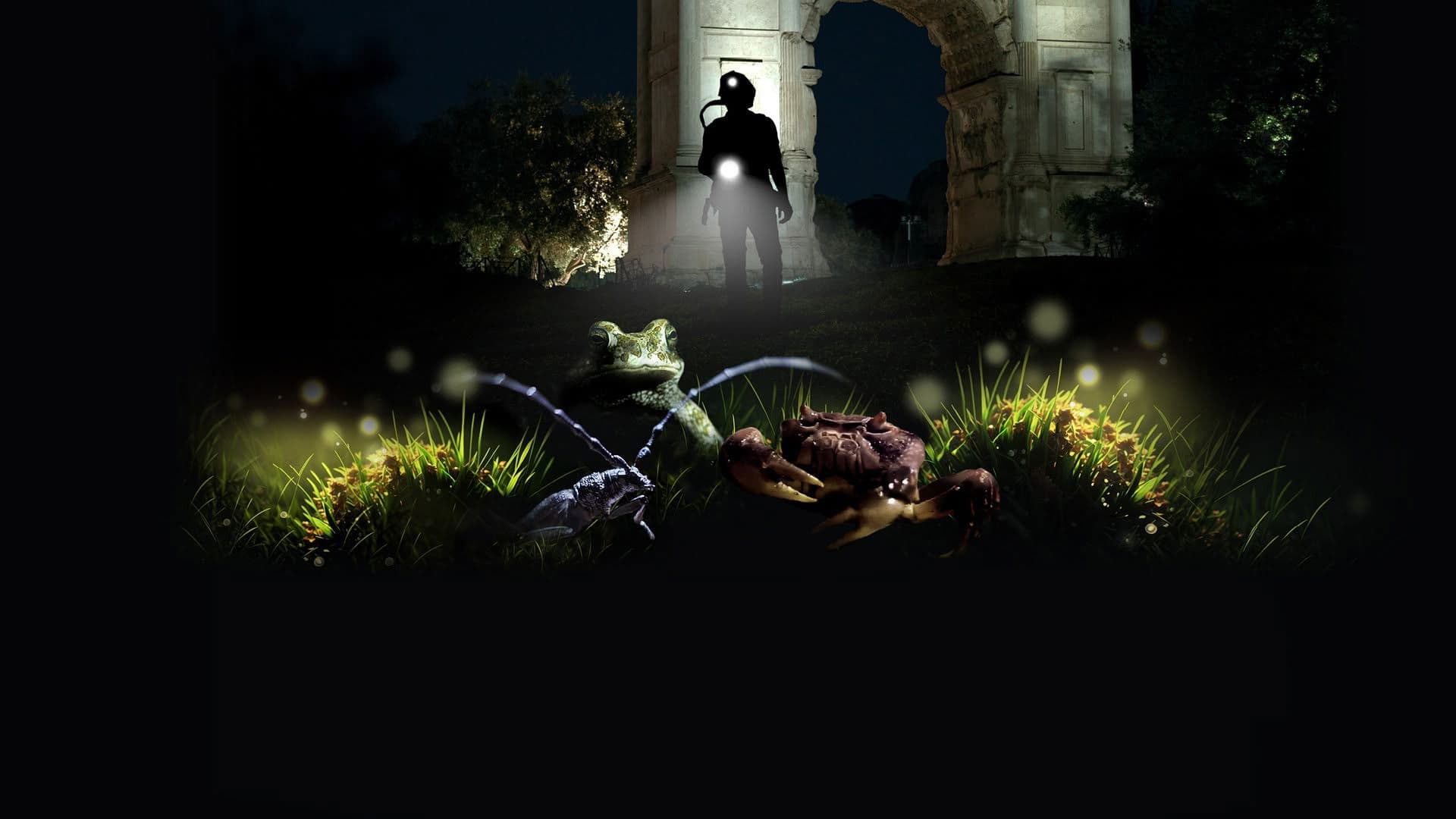 L'impero della natura. Una notte al Parco del Colosseo