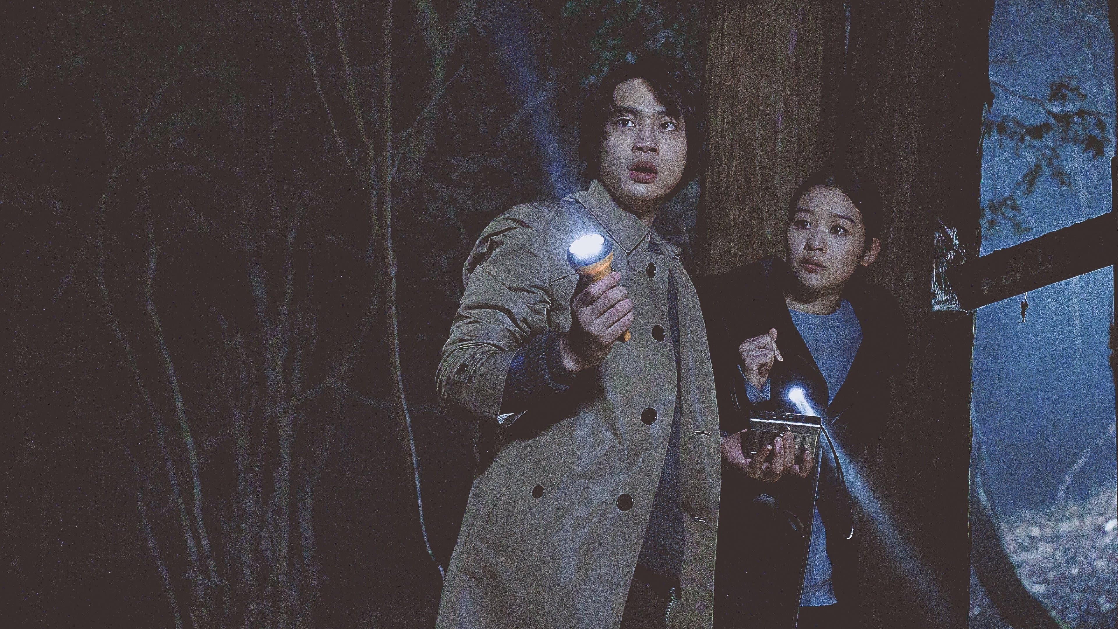 사라진 아이: 미확인 동영상