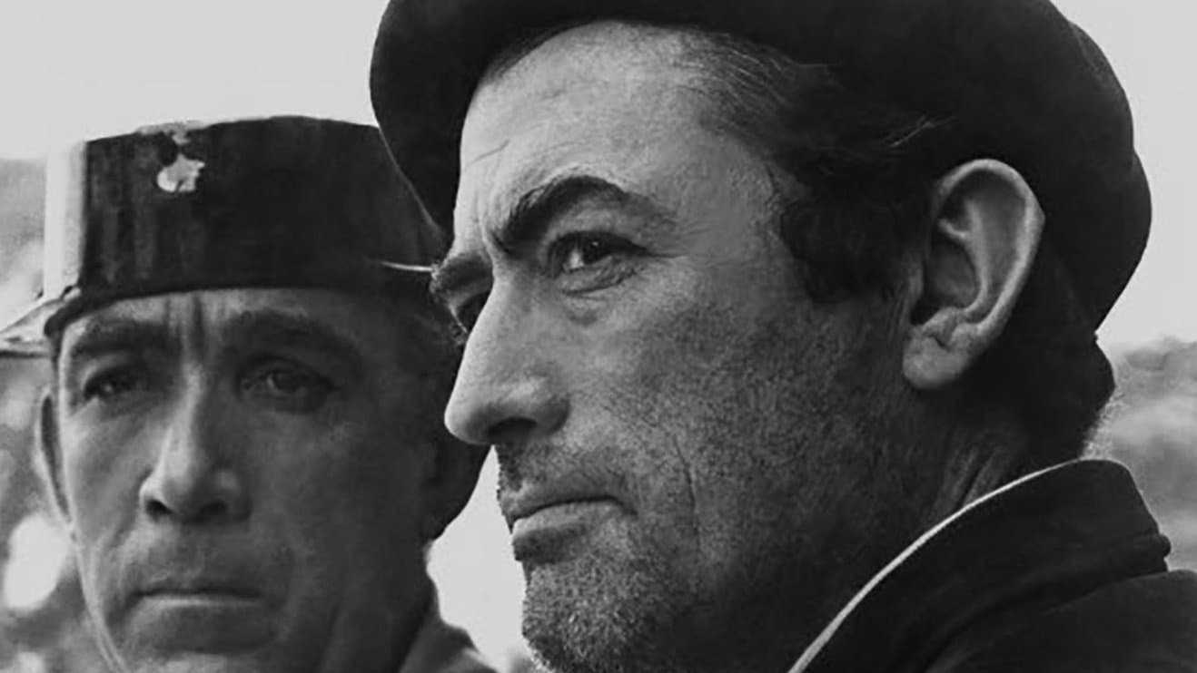 비루먹은 말을 봐라