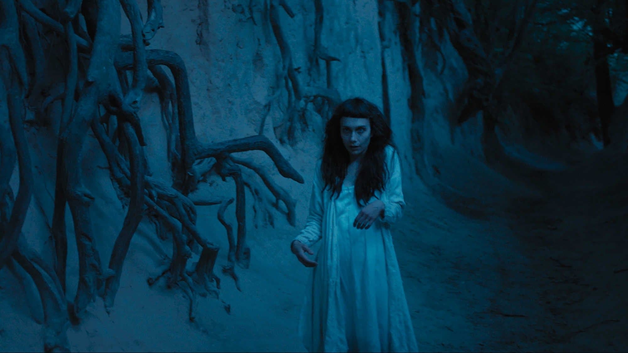 더 필드 가이드 투 이블