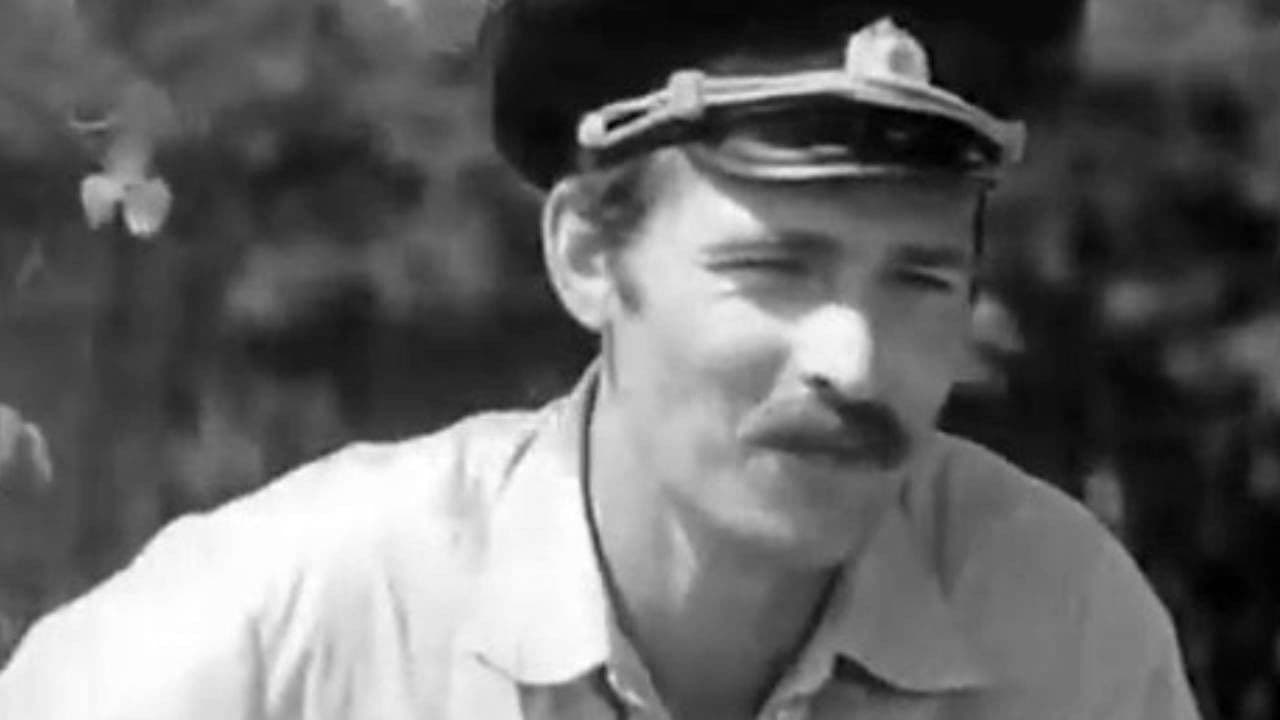 Такие симпатичные волки