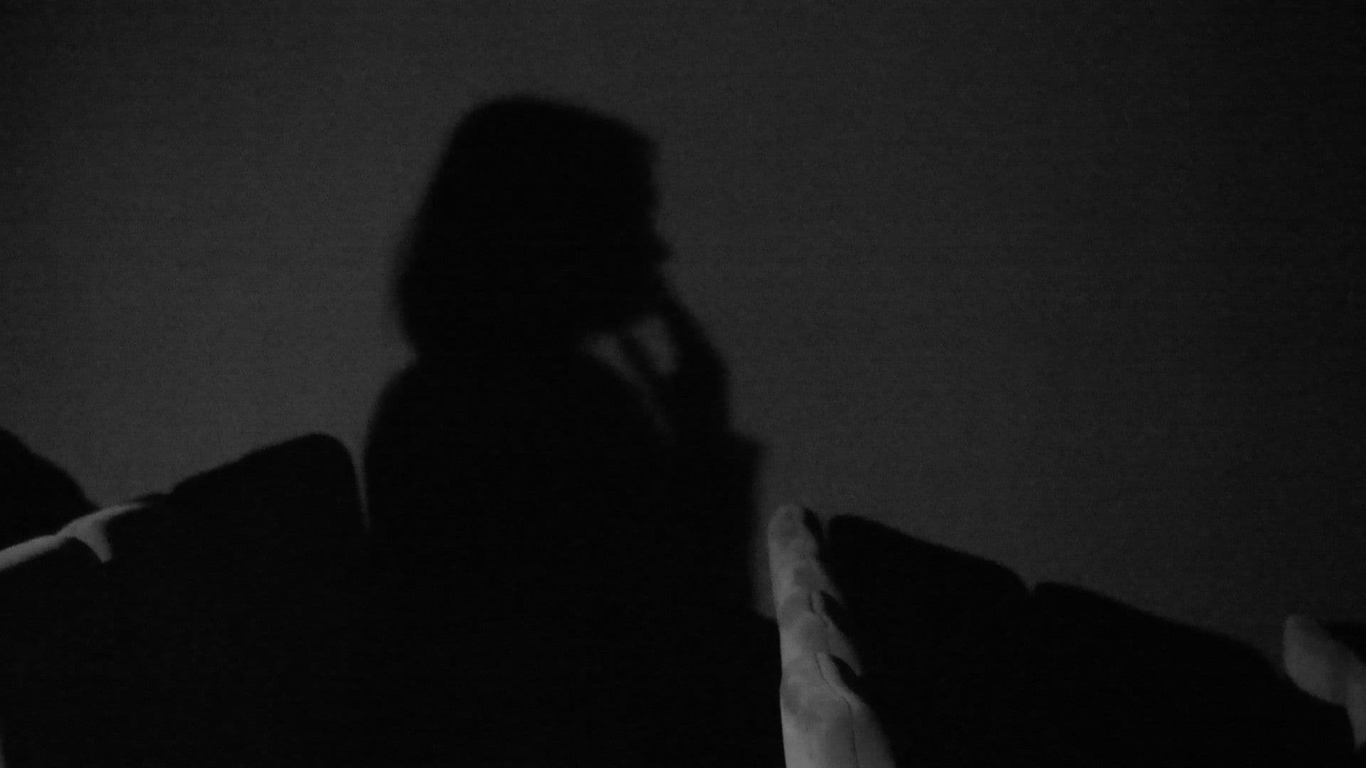 Le Ballet des Ombres