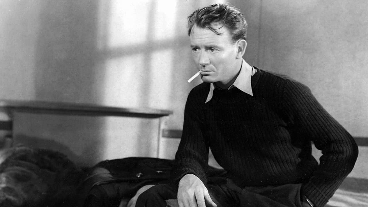 구름 속의 자니