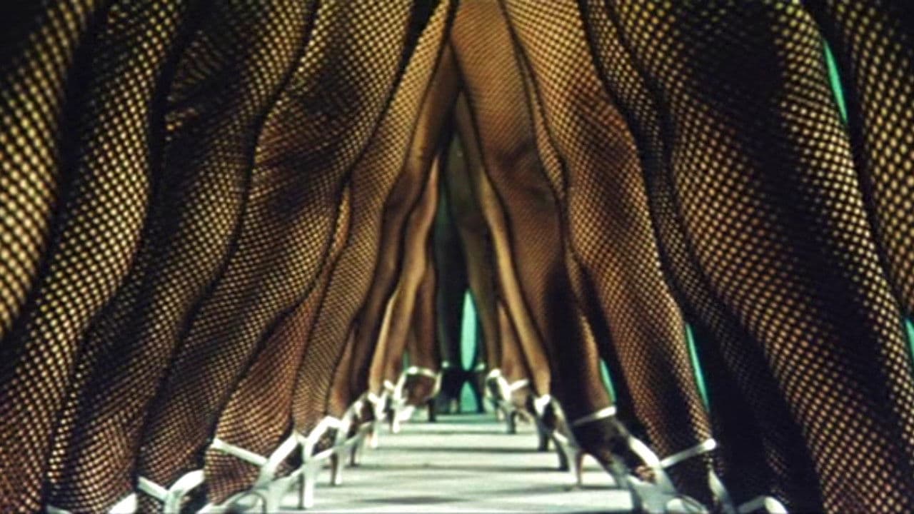 발에 닿은 여자