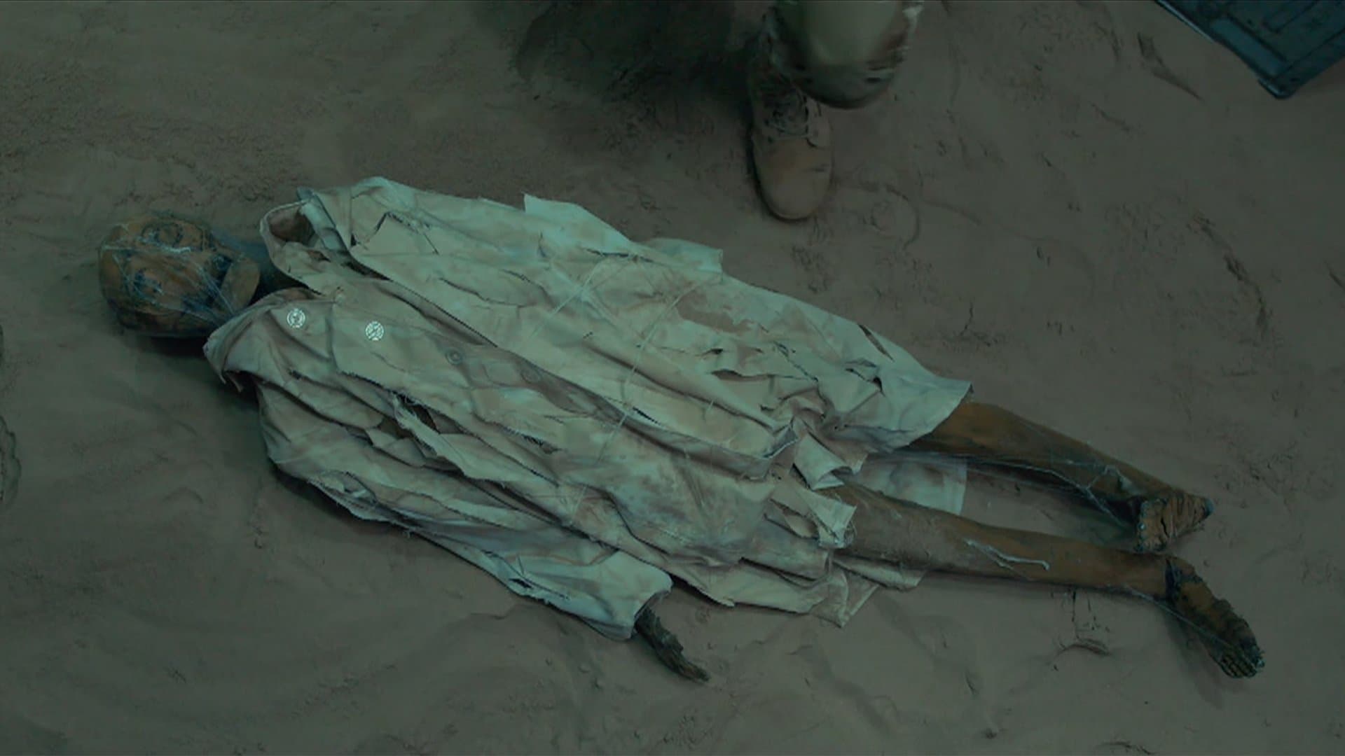 자이언트 스파이더