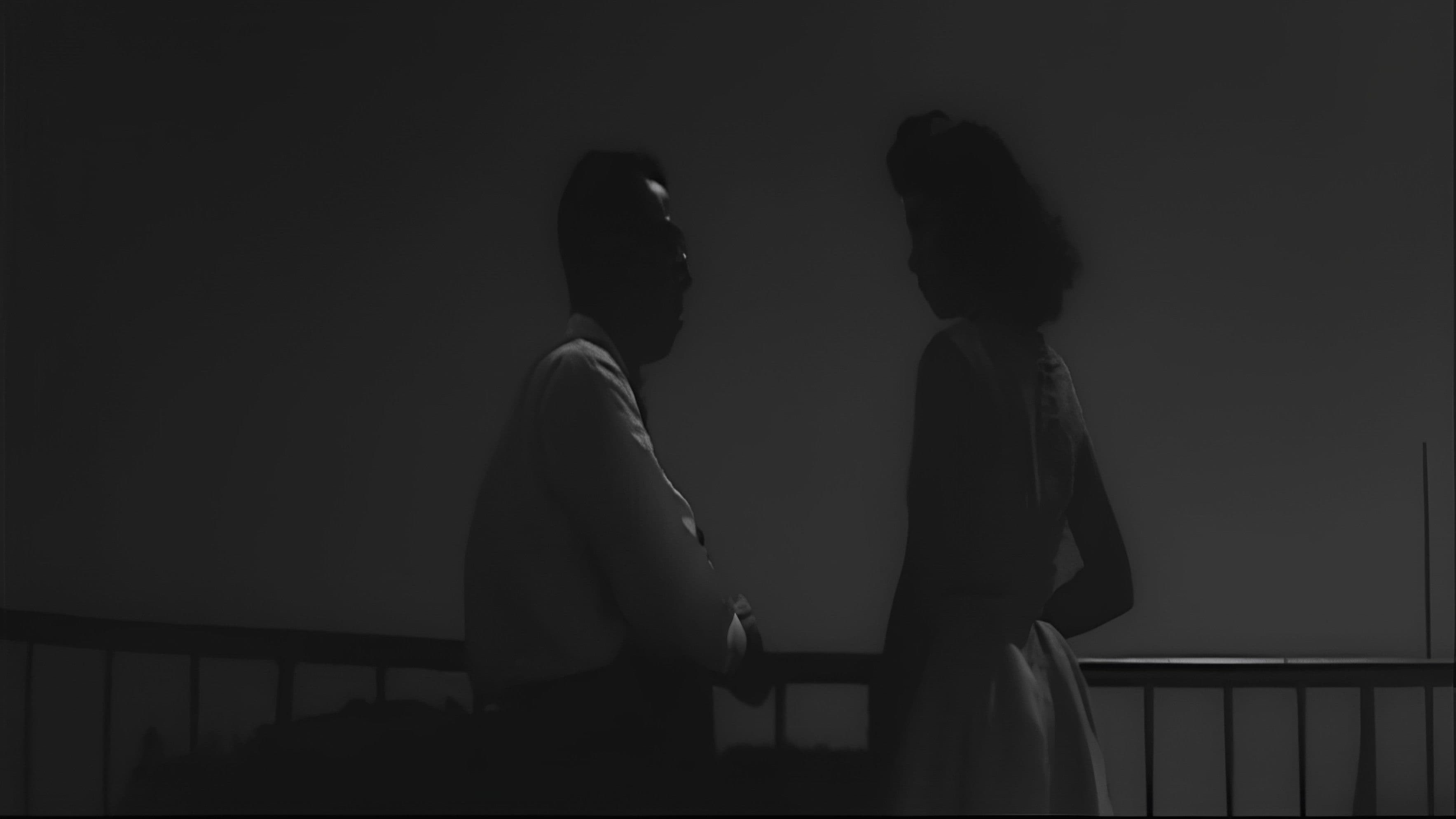 星は何でも知っている