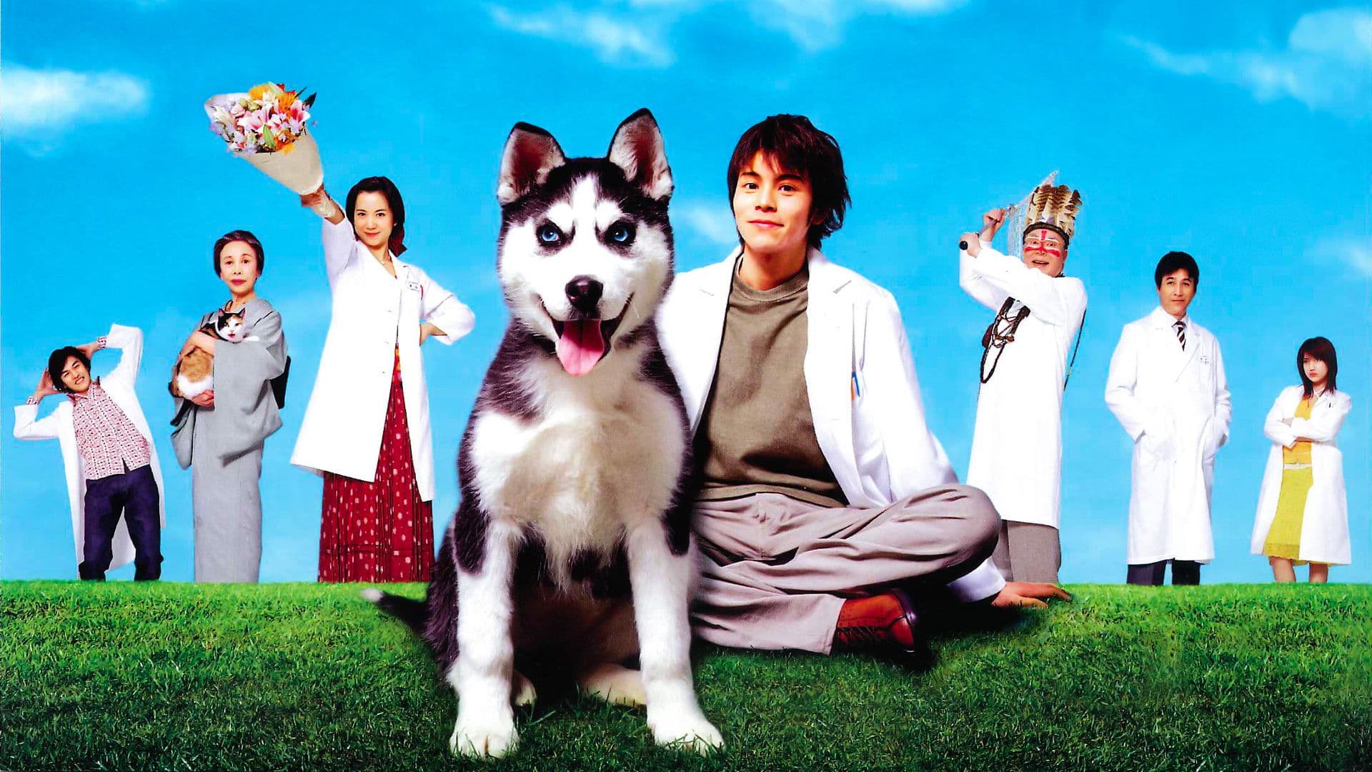 동물병원 선생님