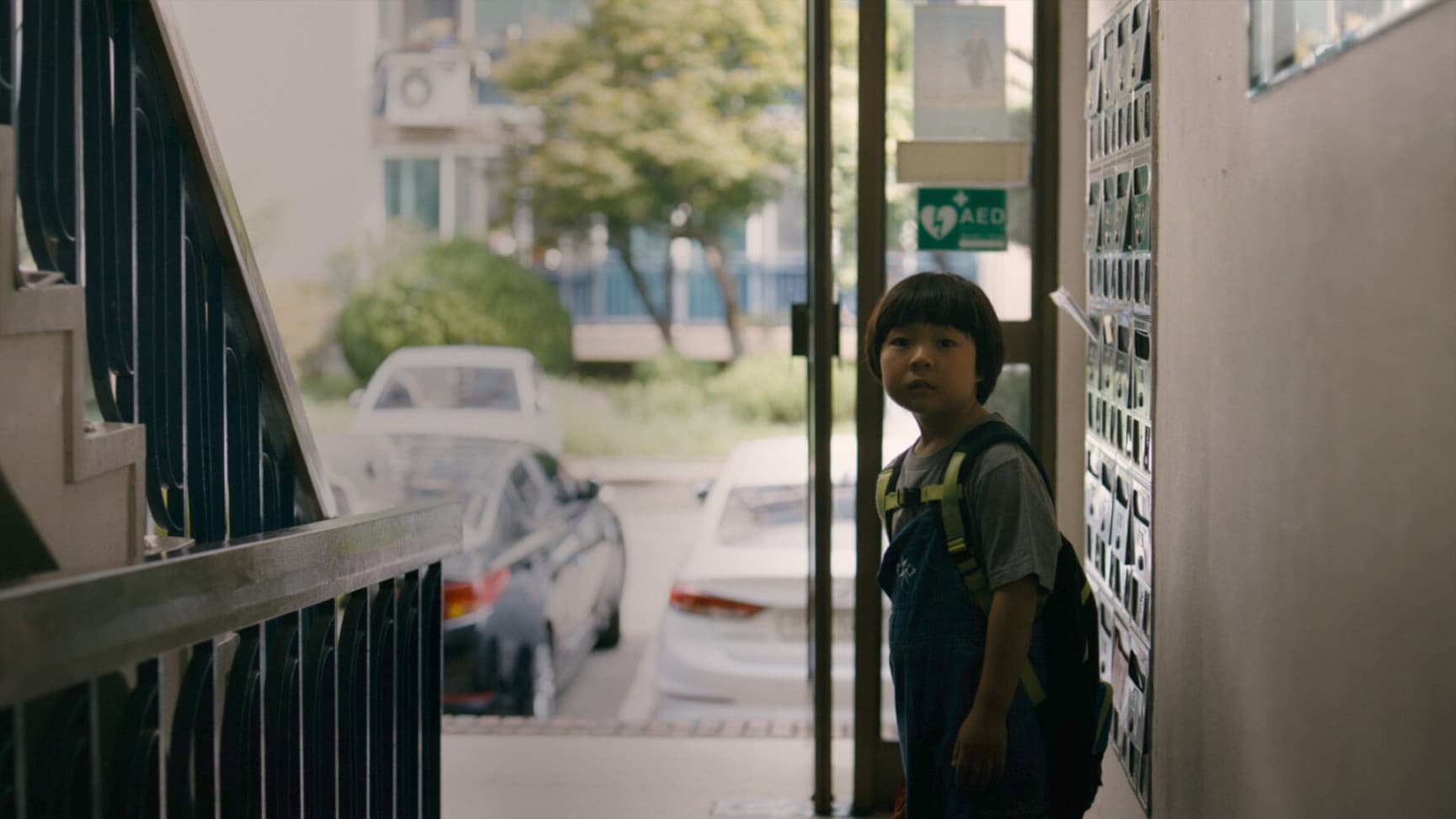 버섯이 피어날 때