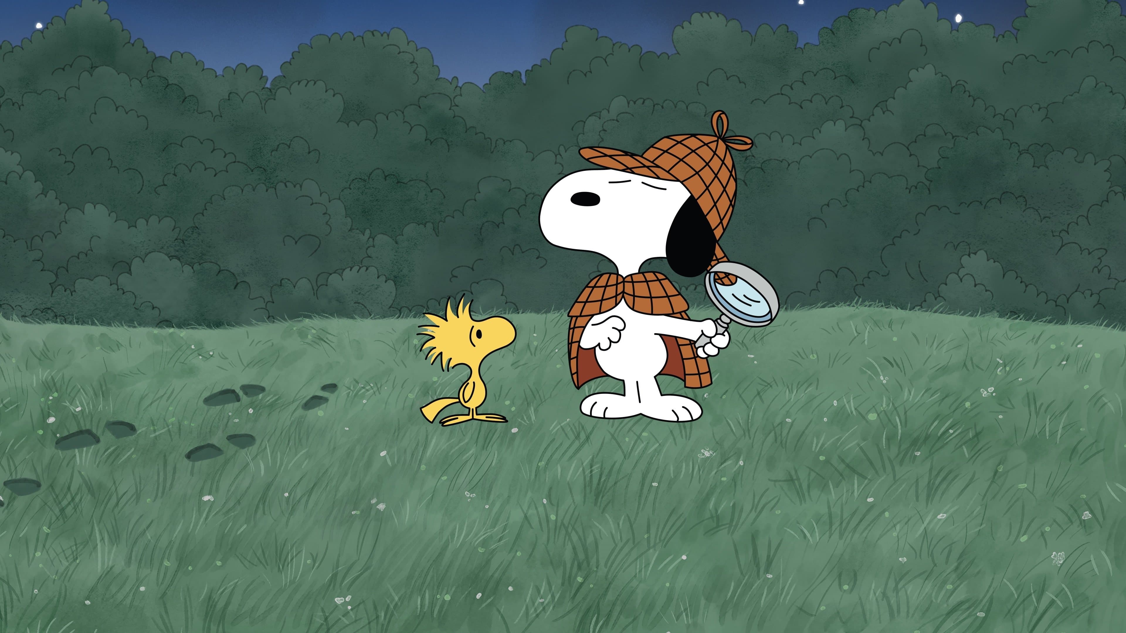 미스테리야, 찰리 브라운