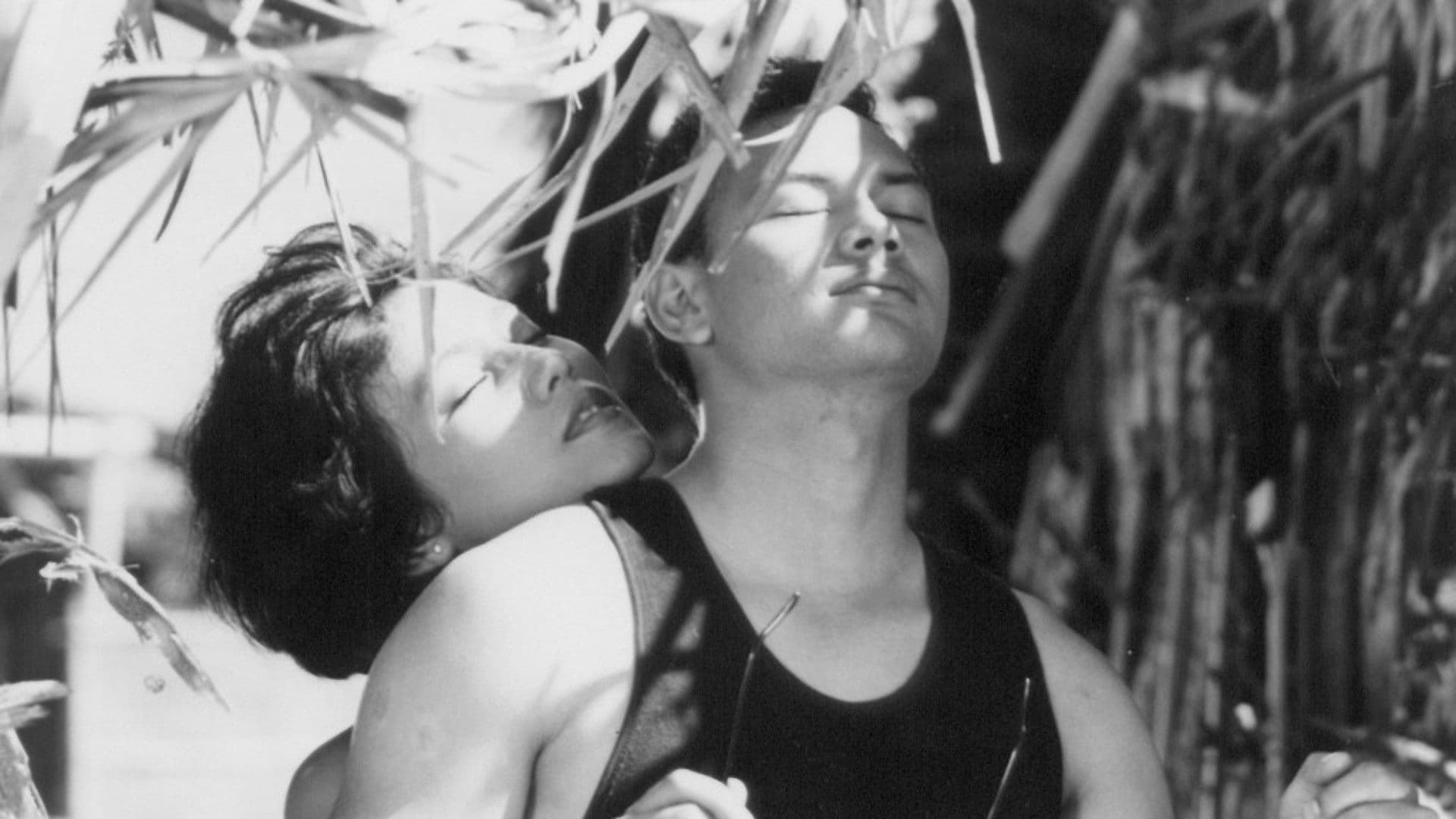 Cinta dalam Sepotong Roti