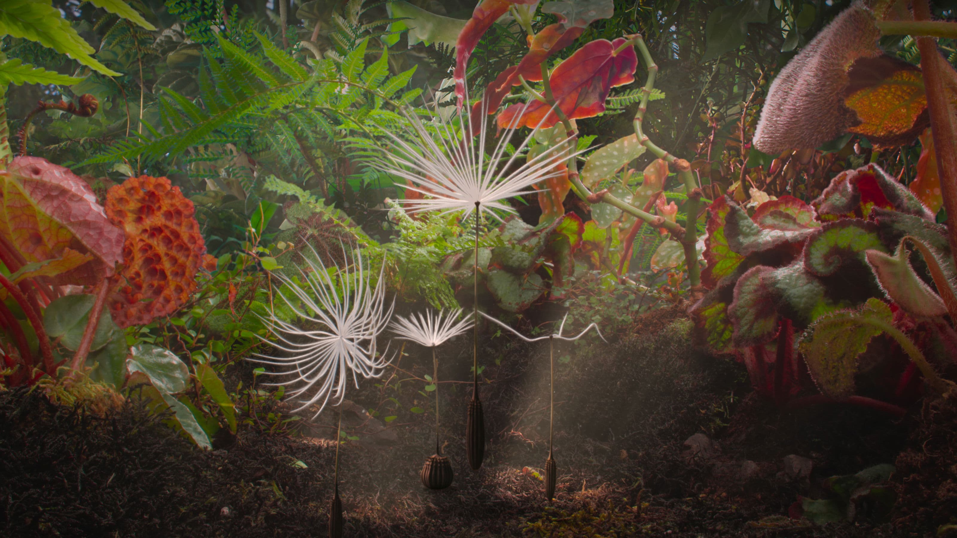 민들레의 오디세이