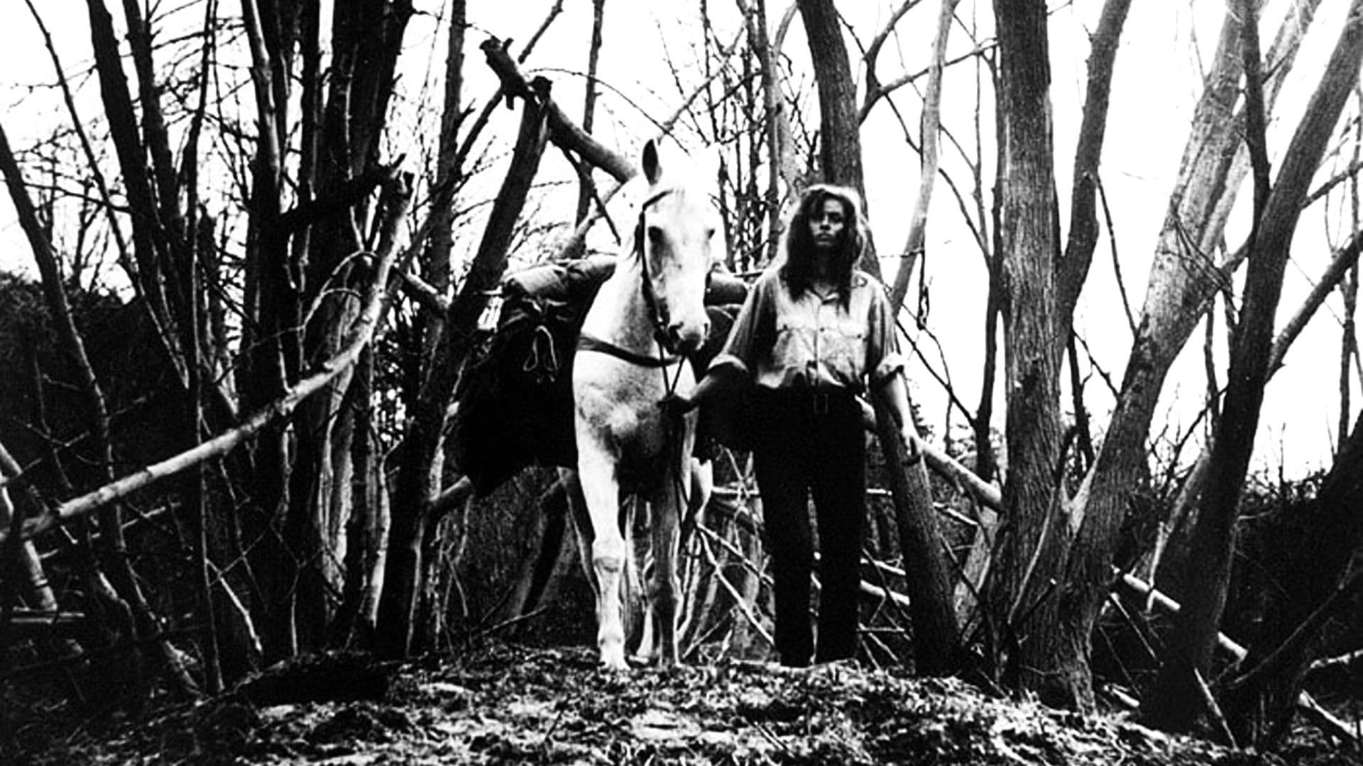 오존 호텔에서의 8월말